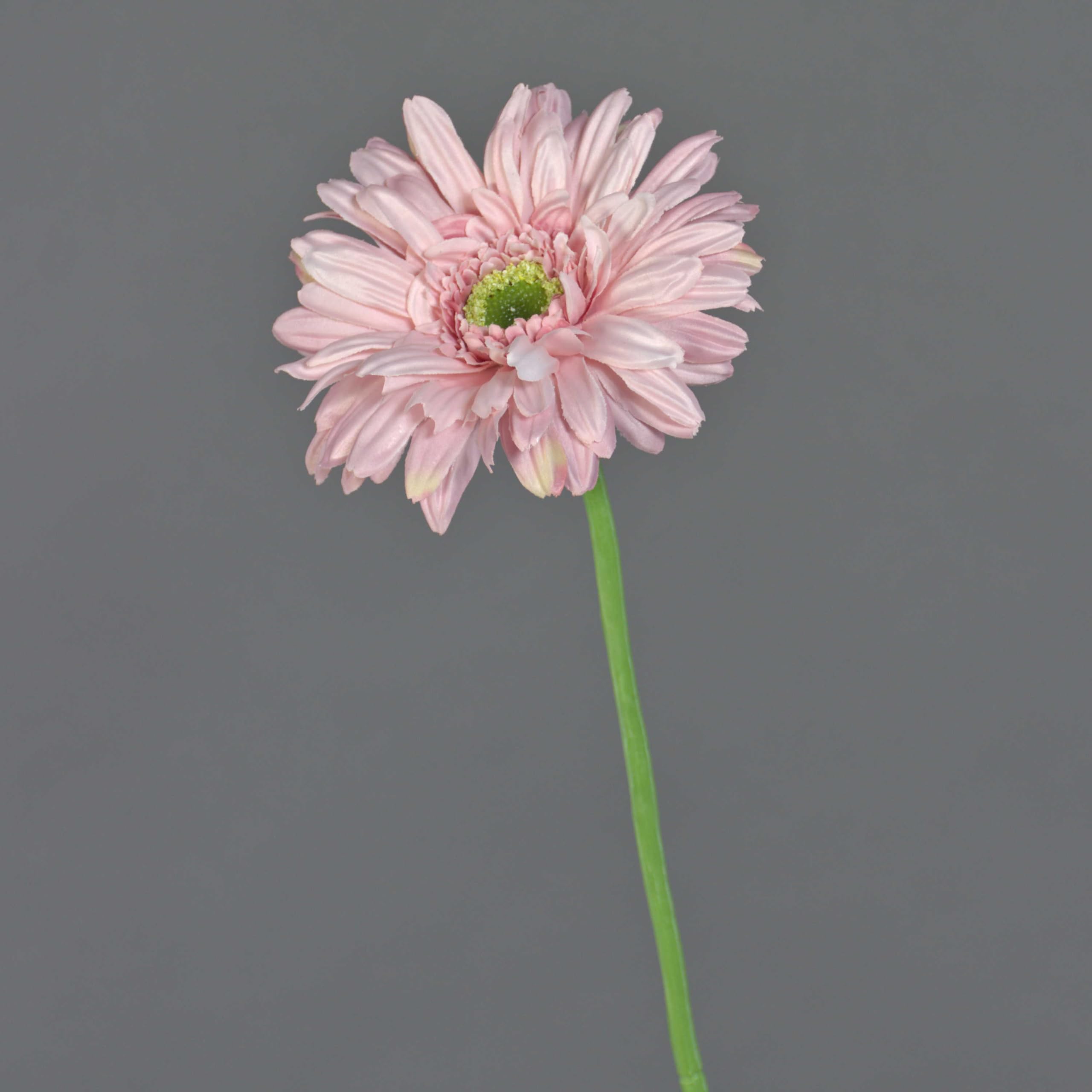 artplants.de Artificial gerbera HELLI, pink, 26"/65cm, Ø4.7"/12cm - Artificial flowers/False gerbera