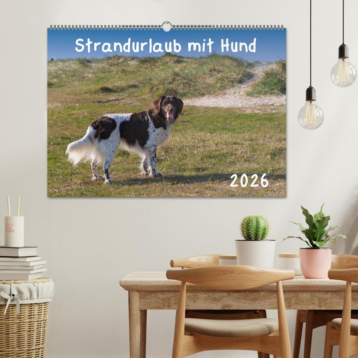 Strandurlaub mit Hund (Wandkalender 2026 DIN A2 quer), CALVENDO Monatskalender: Eine bunte Mischung vierbeiniger Standurlauber an der Nordsee (CALVENDO Tiere)