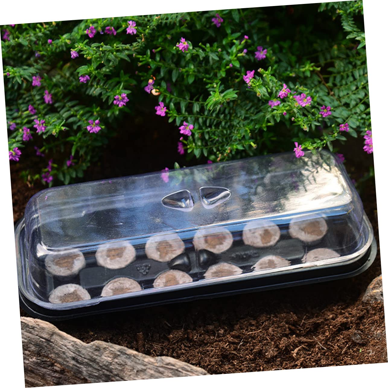 Toddmomy 12 Ensembles Boîtes de Germination pour Plantes Plateau de Propagation pour Jardin Intérieur avec Couvercles Transparent et Supports de Pellets