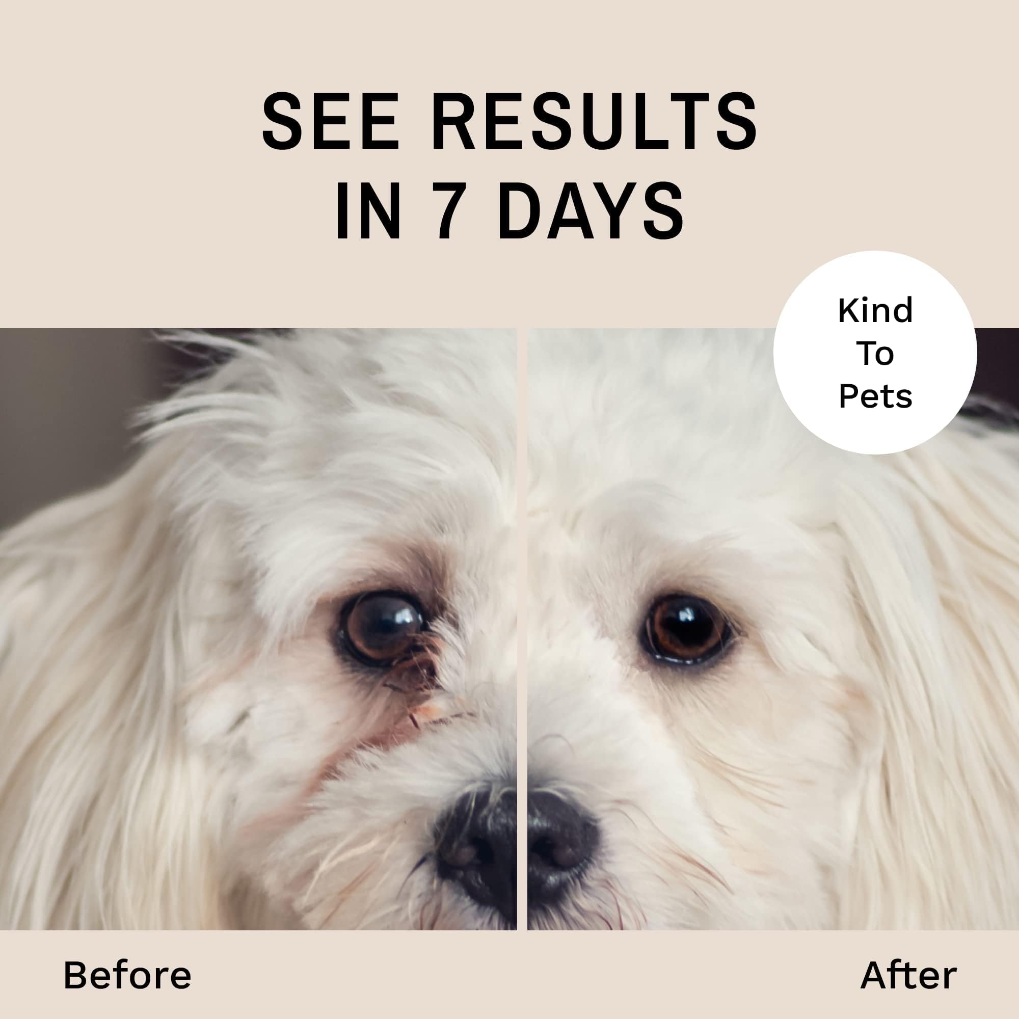Eye Envy, 60 Lingettes pré-imbibées détachantes pour Chien