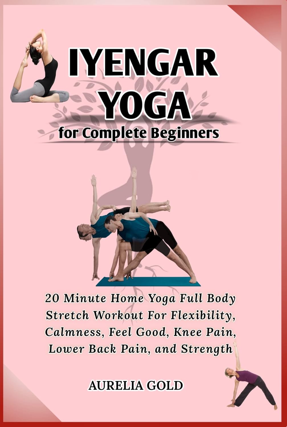Iyengar Yoga for Complete Beginners: 20 Minute Home Yoga Full Body Stretch Workout For Flexibility, Calmness, Feel Good, Knee Pain, Lower Back Pain, and Strength