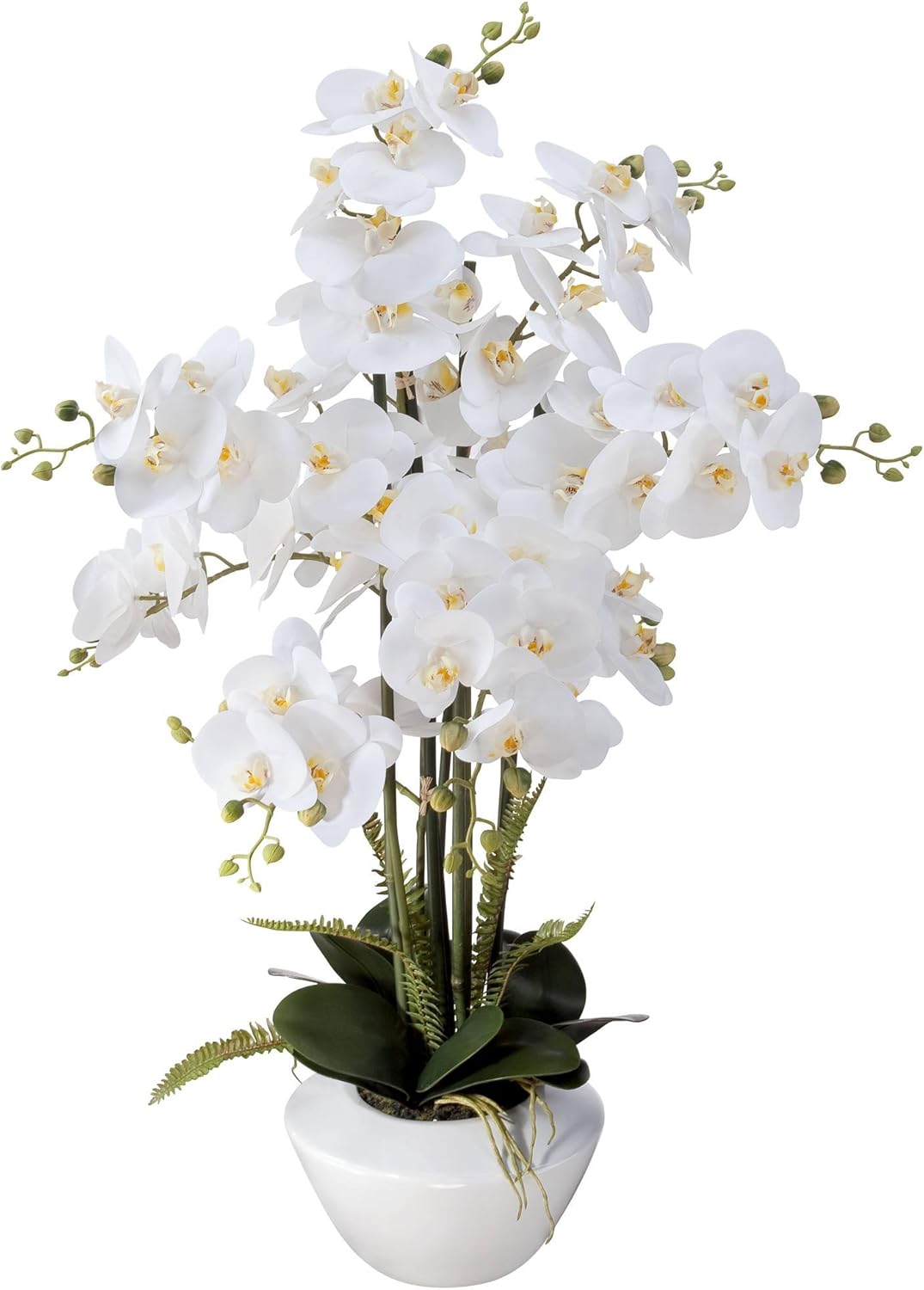 Dahlia Studios Potted Faux Artificial Flowers Arrangements Realistic White Phalaenopsis Orchid in White Ceramic Pot for Home Decoration Living Room Office Bedroom Bathroom Kitchen 29" High : Home & Kitchen