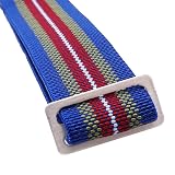 TIME4BEST Strap Elastic Watch Band Military Watch Strap Canvas Nylon Watch Strap 20mm 21mm 22mm Watch Bands Hook Buckle (20mm, Blue with Green Red Stripe)