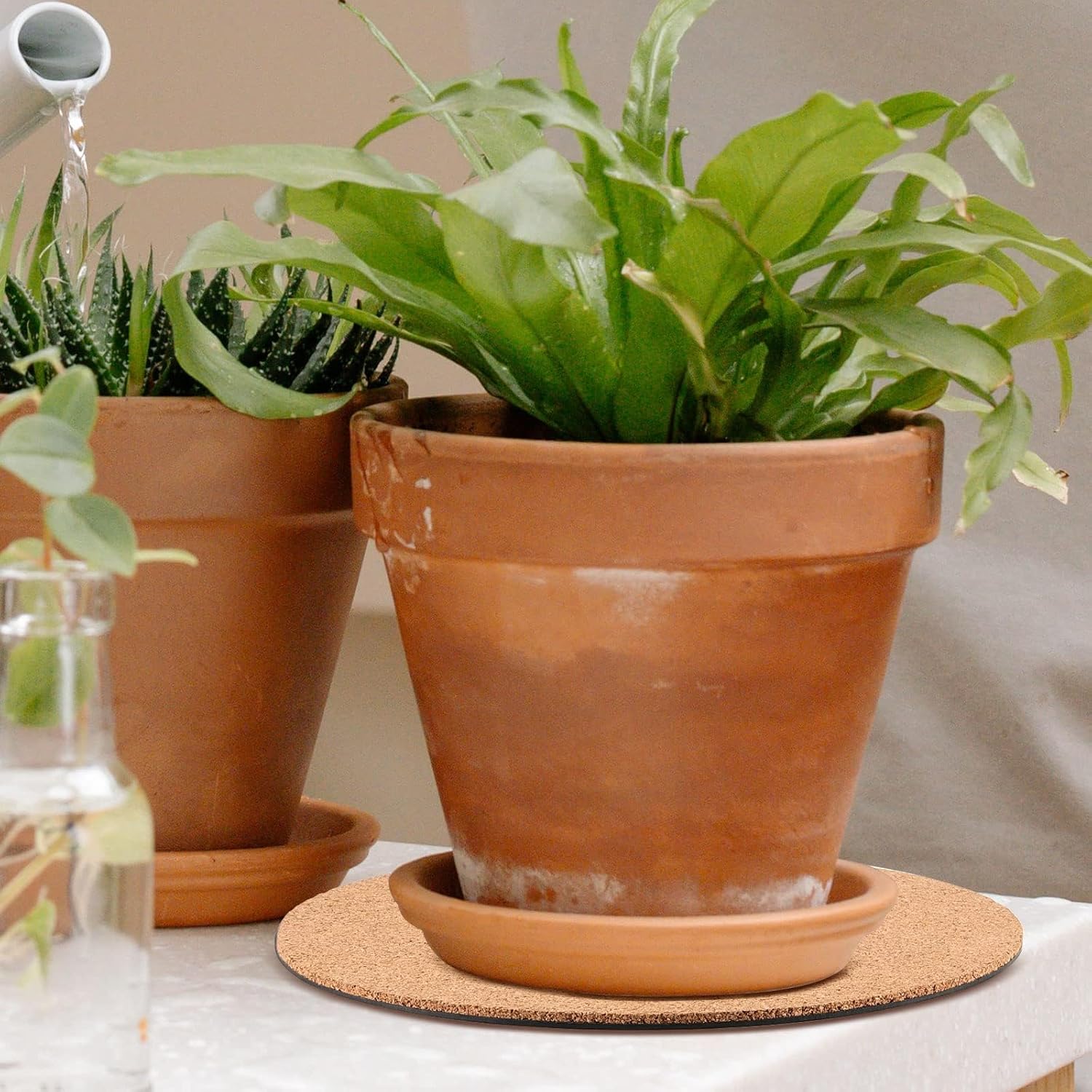 FUNSUEI 5 PCS 12 Inch Cork Plant Coasters, Round Cork Plant Mat for Gardening, Indoor Outdoor Pots, Coaster, DIY Craft Project