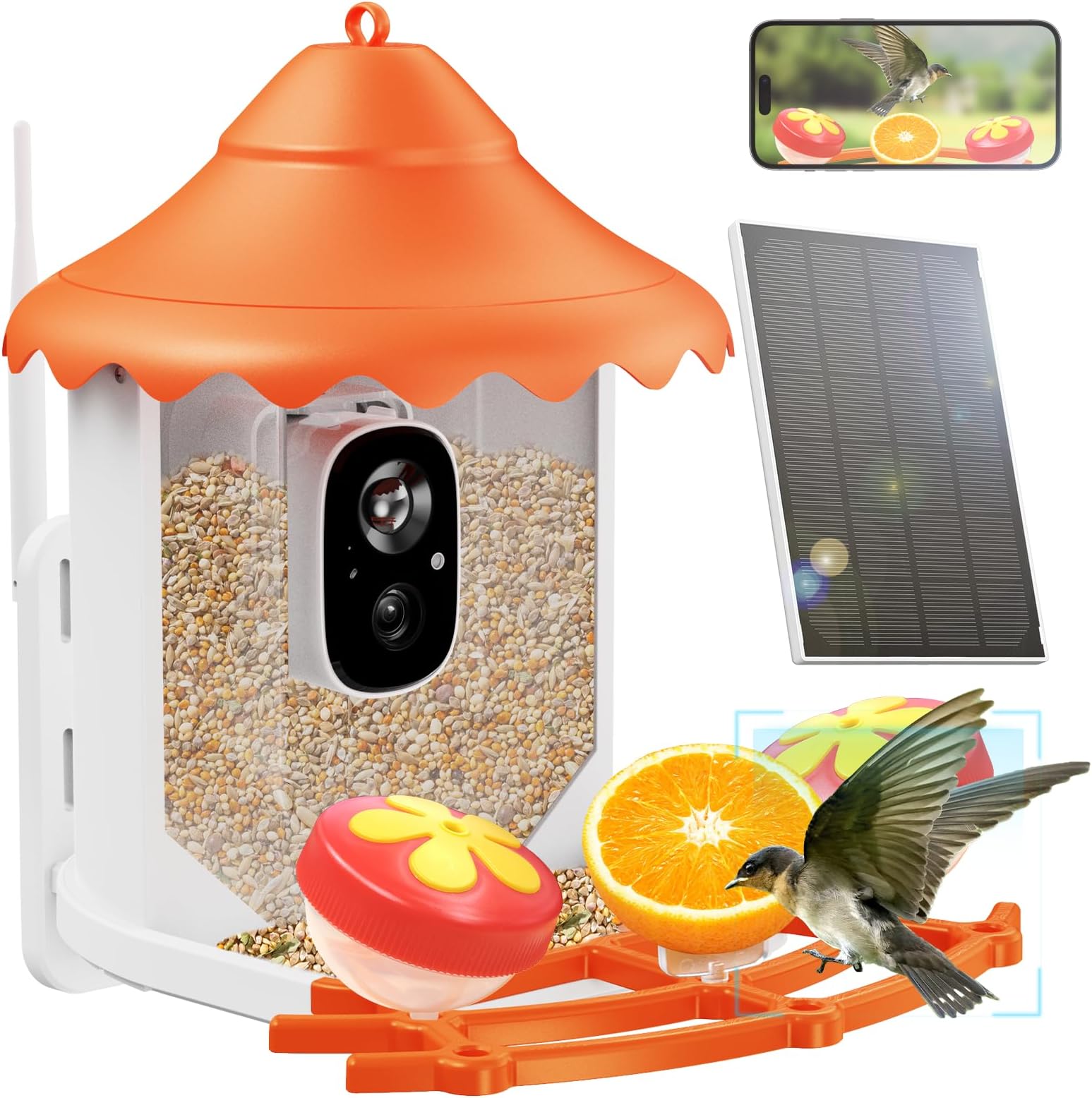 Amazon.com : abetap Smart Bird Feeder with Camera - Wireless Bird ...
