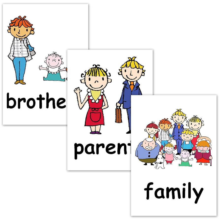 Amazon.co.jp: フラッシュカード【家族】□A4サイズ□ 英語