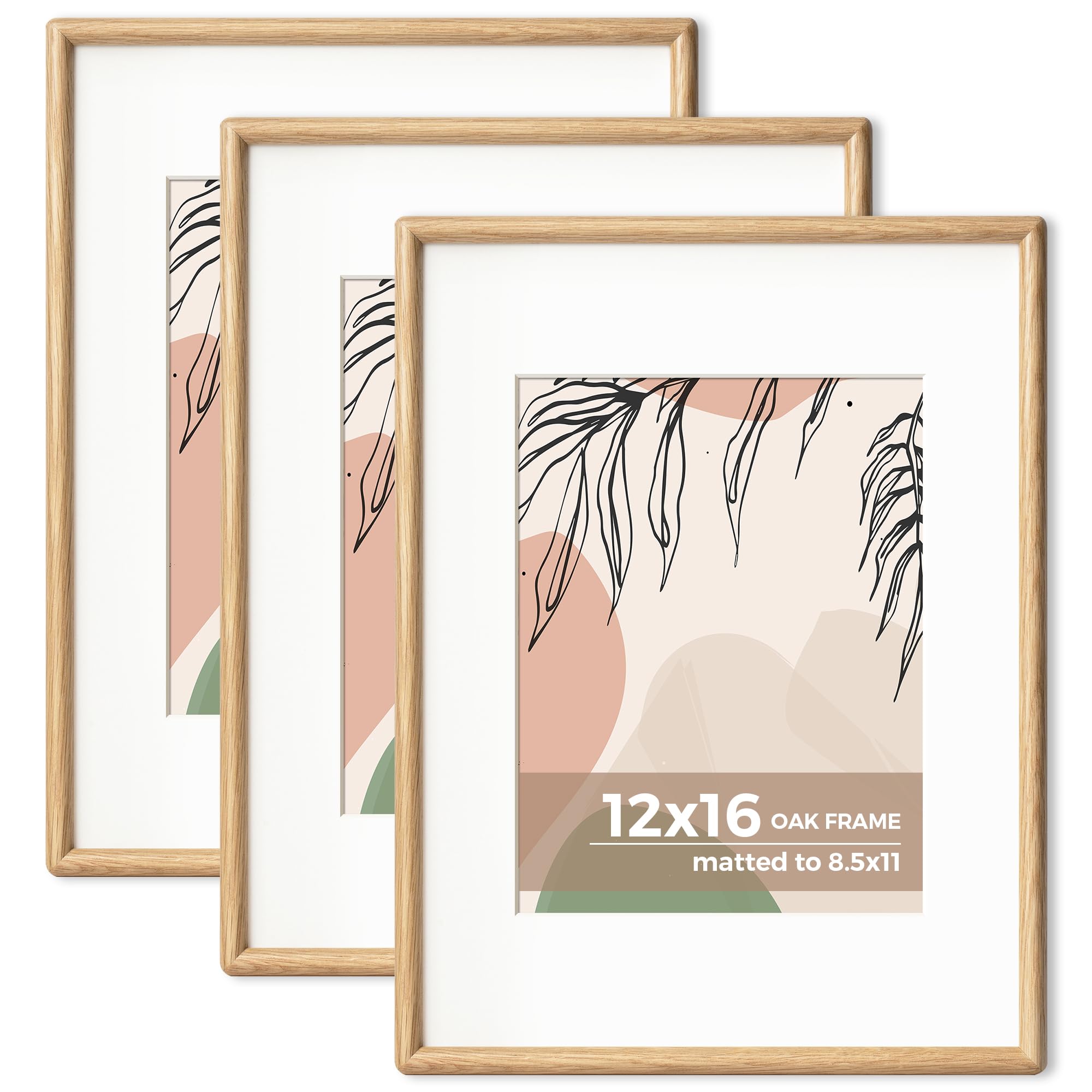 Axeman 12x16 Oak Frame Set of 3 - Rounded Corner 12 x 16 Picture Frame Matted to 8.5x11 - Natural Oak Wood Photo Frame with Tempered Glass for Wall Mount Display