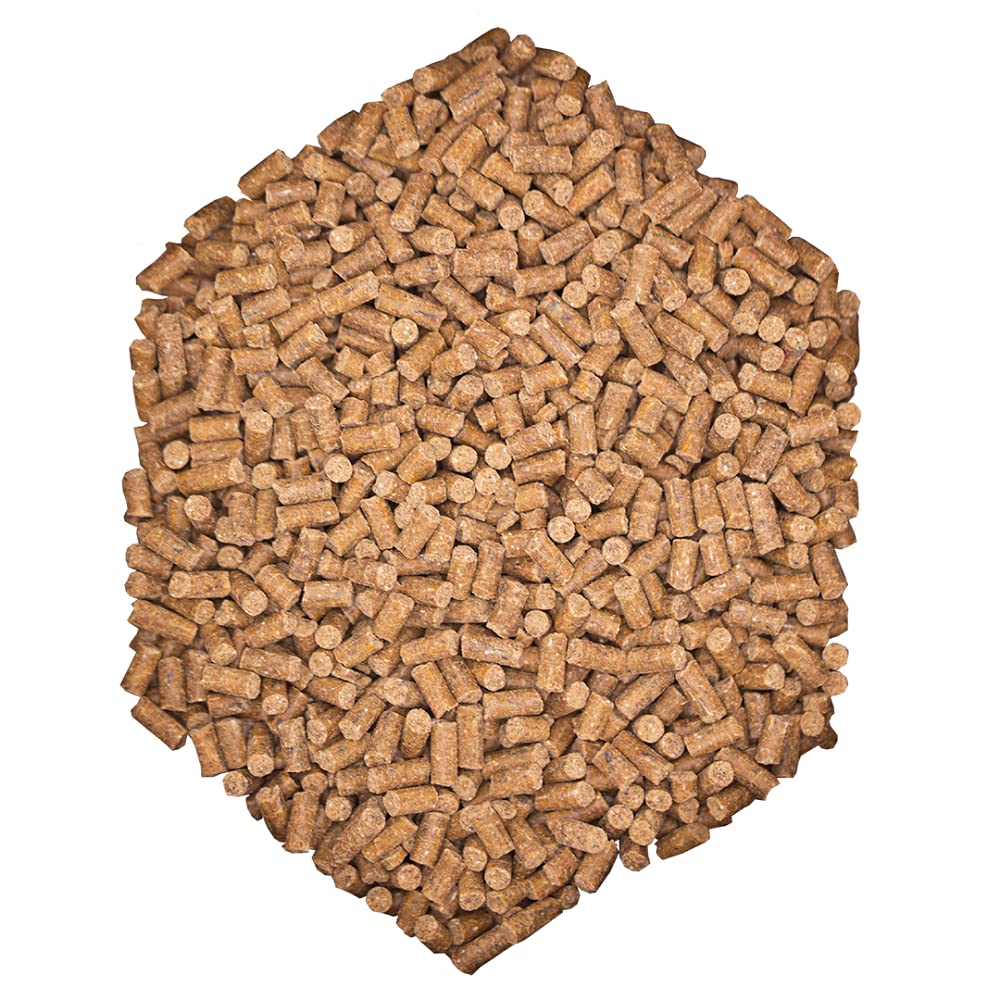 St.Hippolyt Wes Bodyguard - 10kg Muskel & Mineral