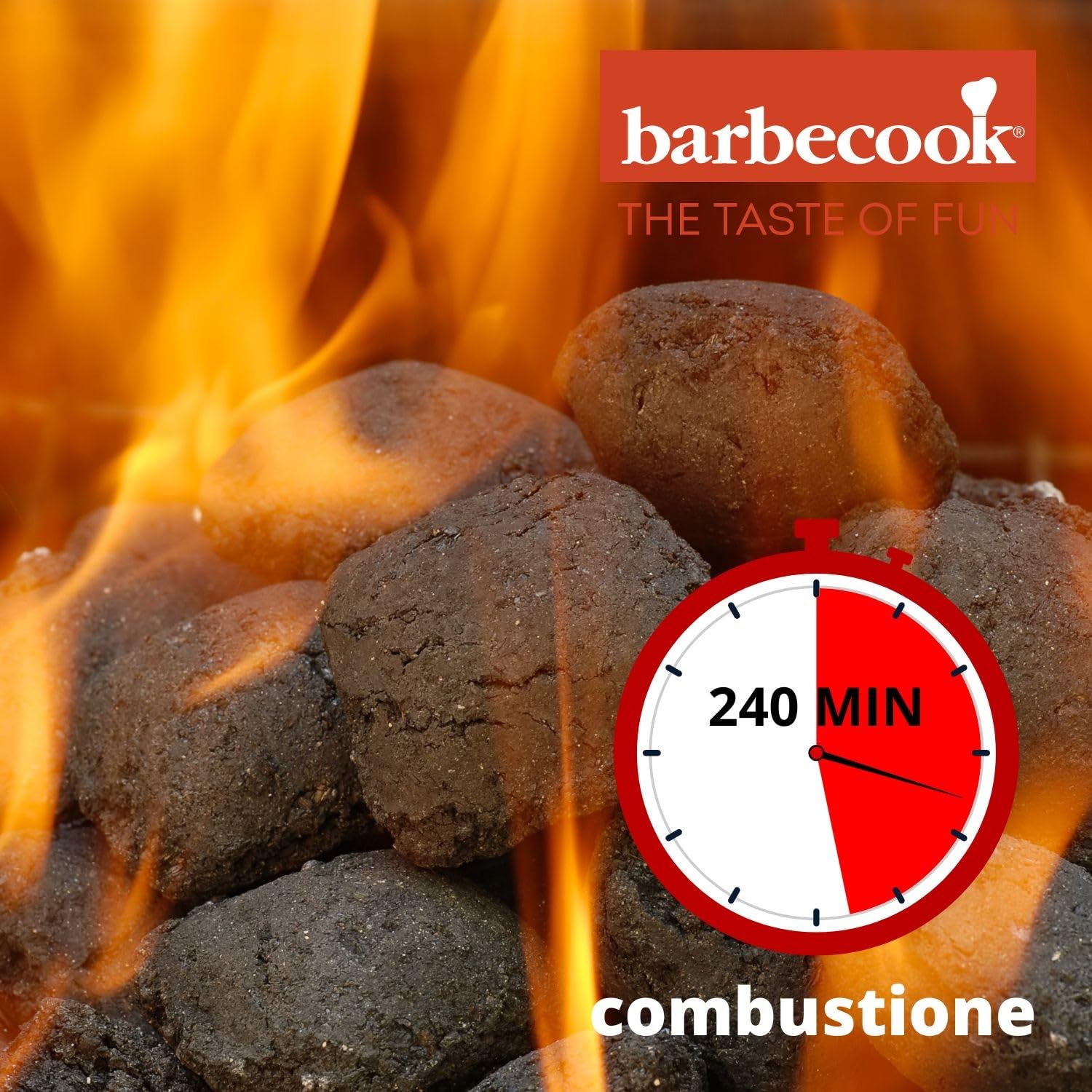 Bricchetti Barbecue Gusci Noce di Cocco Carbonella 5 Kg