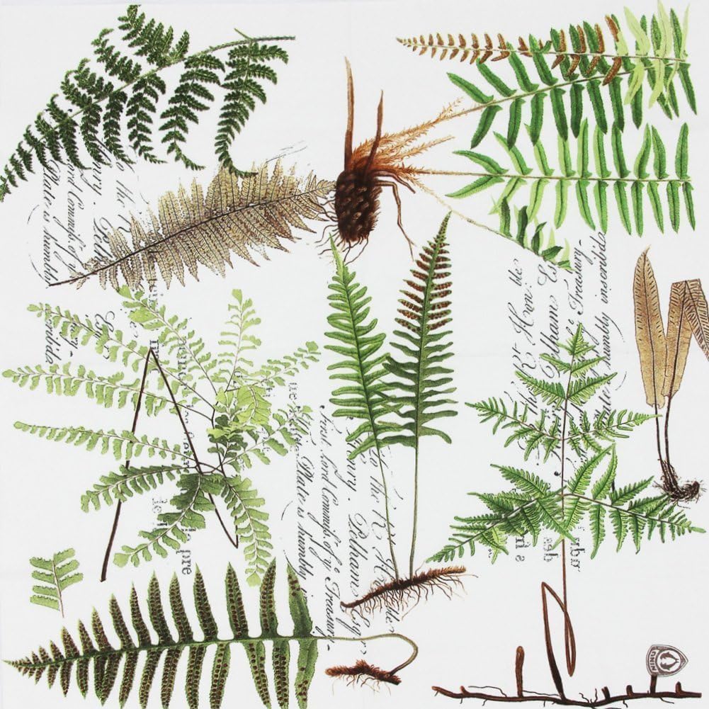 SMILEE Paper Napkins,Luncheon Party Napkins Serviettes 2-Ply 13” x 13”20 Ct (Fern Leaves)