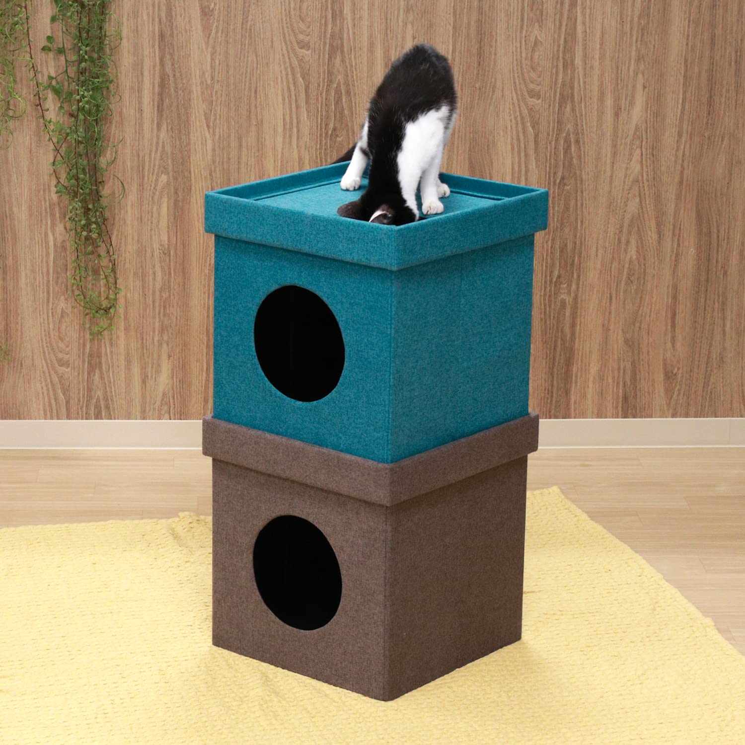 Amazon.co.jp: 不二貿易 ペットハウス キャットハウス 2段 幅37.5×奥行
