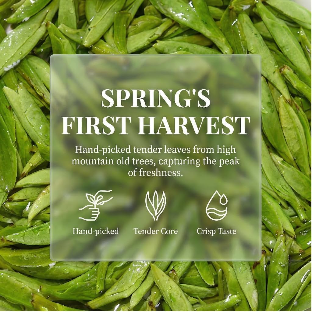 Tè Verde Longjing Pre-Qingming | Tè Verde Senza Additivi | Tè in Foglie Sciolte | Per Lavoro E Riunioni in Ufficio (50 g * 3)