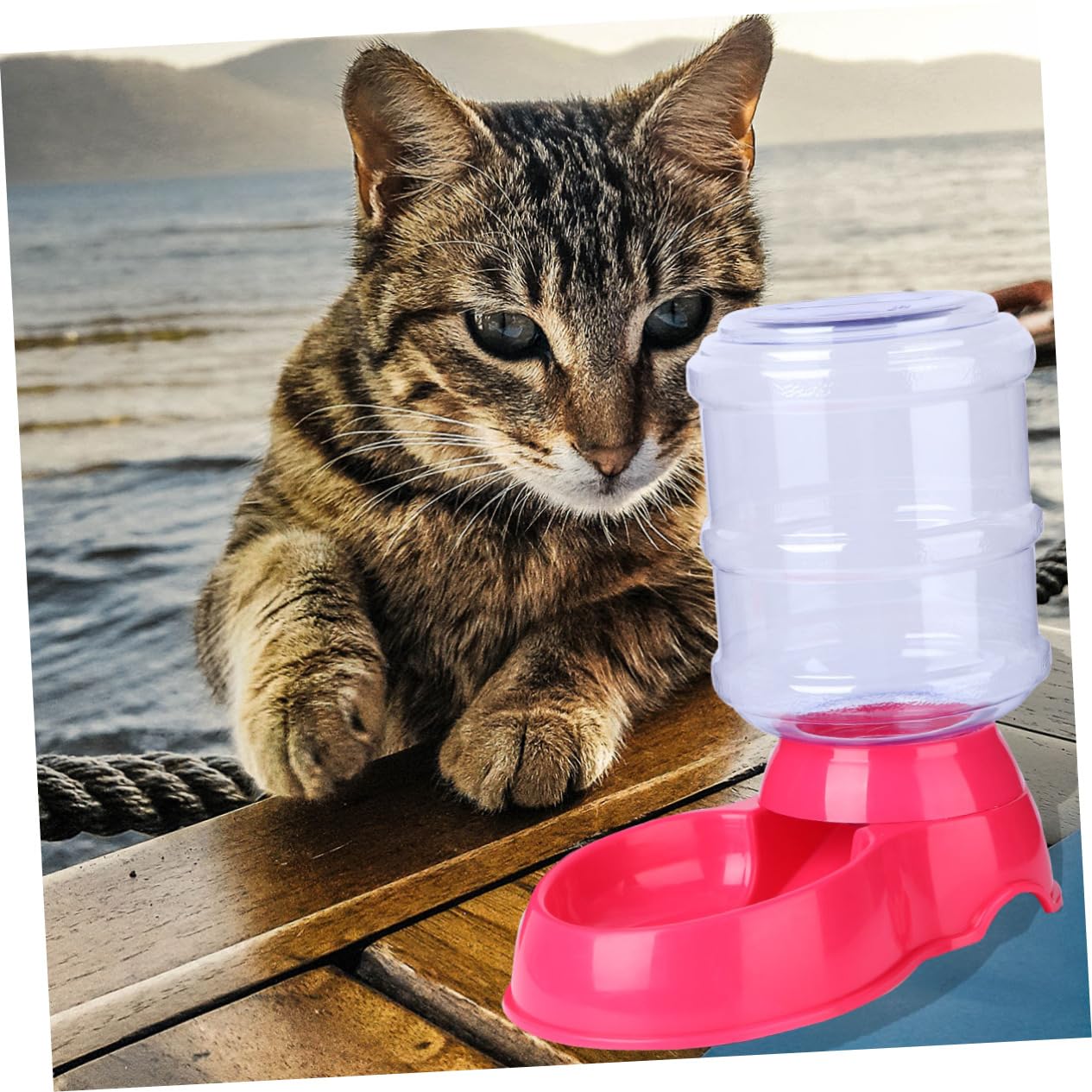 Kisangel Alimentador Automático para Gatos Dispositivo de Alimentación de Comedero y Bebedero Automático para Mascotas Color Aleatorio