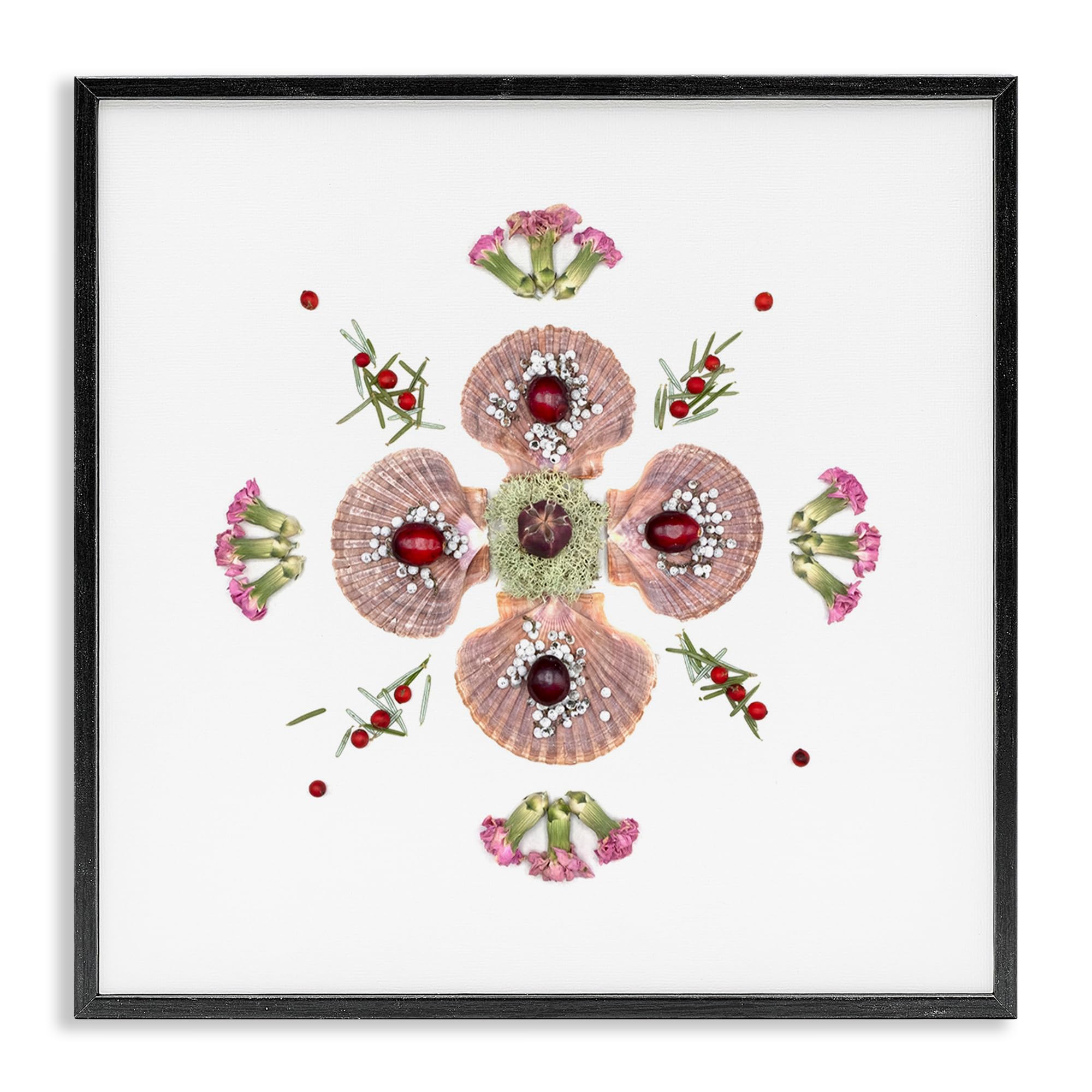Stupell Industries Midnight Black (Textured) 'Clam Shells & Botanicals Pattern'| Framed Giclee Art