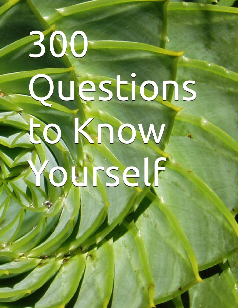 300 Questions to Know Yourself: 300 Questions to Know Yourself is more than just a book—it’s a powerful self-discovery journal designed to help you ... beliefs in a deeper and more meaningful way.
