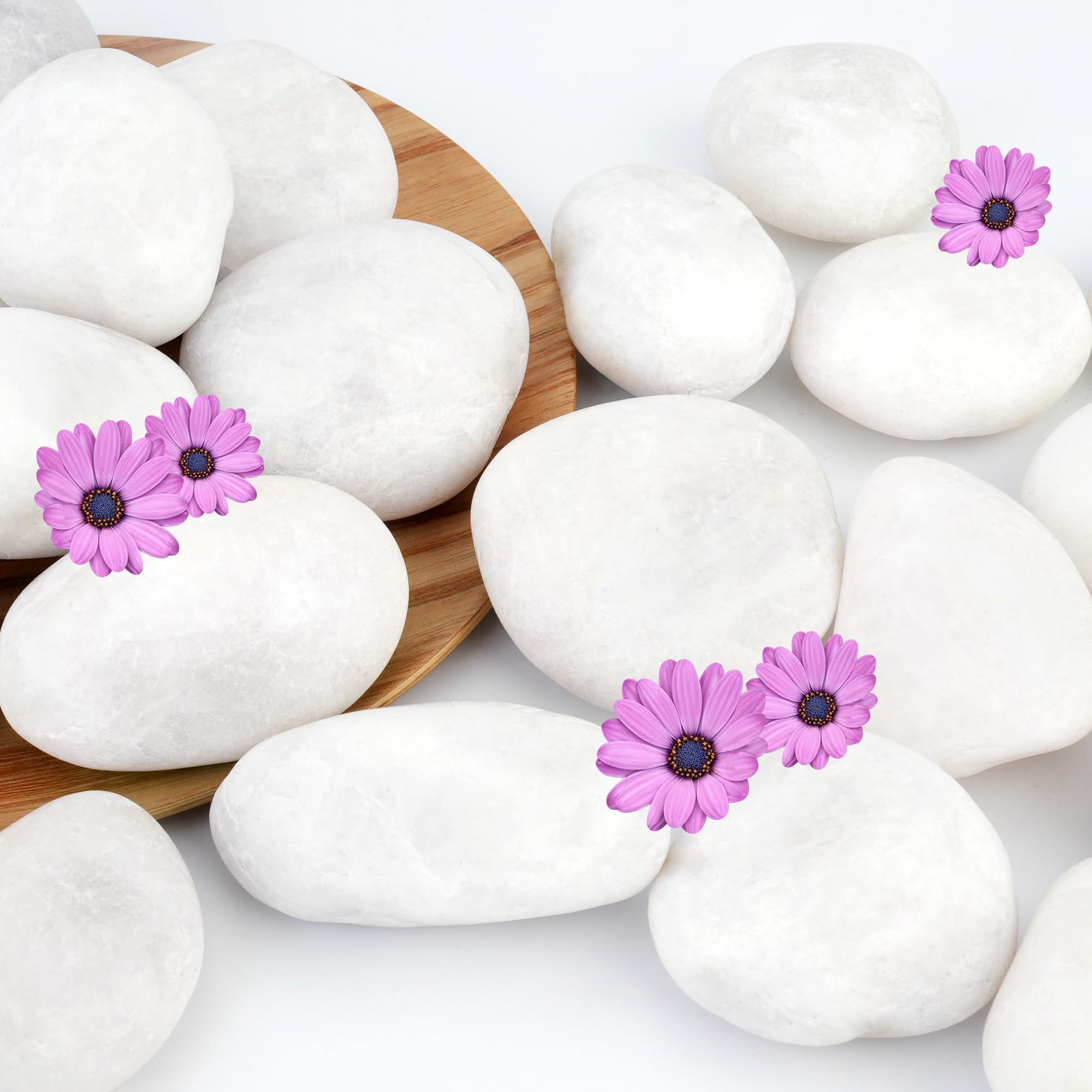 Photo 1 of NUPICK 3lb White River Rocks for Plants Indoor, Pebbles for Landscaping