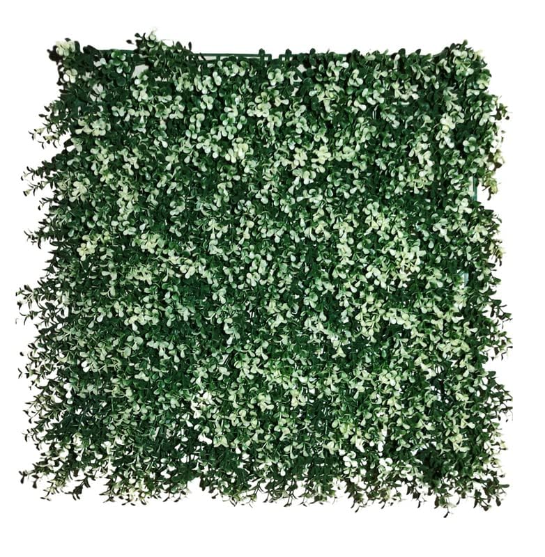Golden Cart Artificial Wall Grass for Home Decoration (6 Pcs) I Grass Mat for Wall I Vertical Garden Artificial Wall Plants (50cm X 50cm X 5cm, Pack of 6) (B0DCVSYMWR) Amazon Price History, Amazon Price Tracker