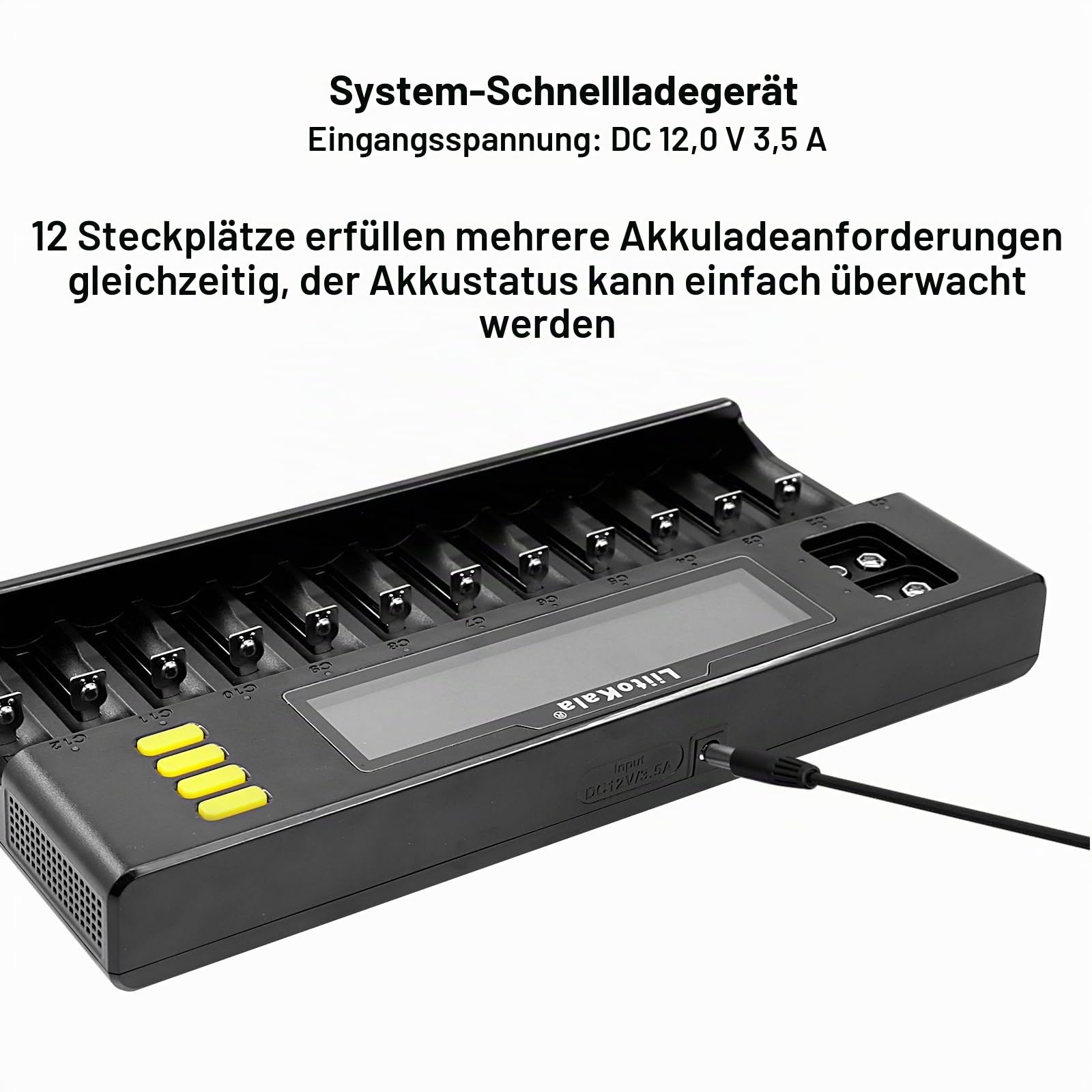 LiitoKala Lii-S12 18650 12-Slot LCD-Display Schnellladegerät, intelligentes Universalladegerät für Li-Ionen (IMR/ICR) LiFePO4 NI-MH/Cd 18650 21700 26650 18350 14500 RCR123 9V Batterien AA AAA C