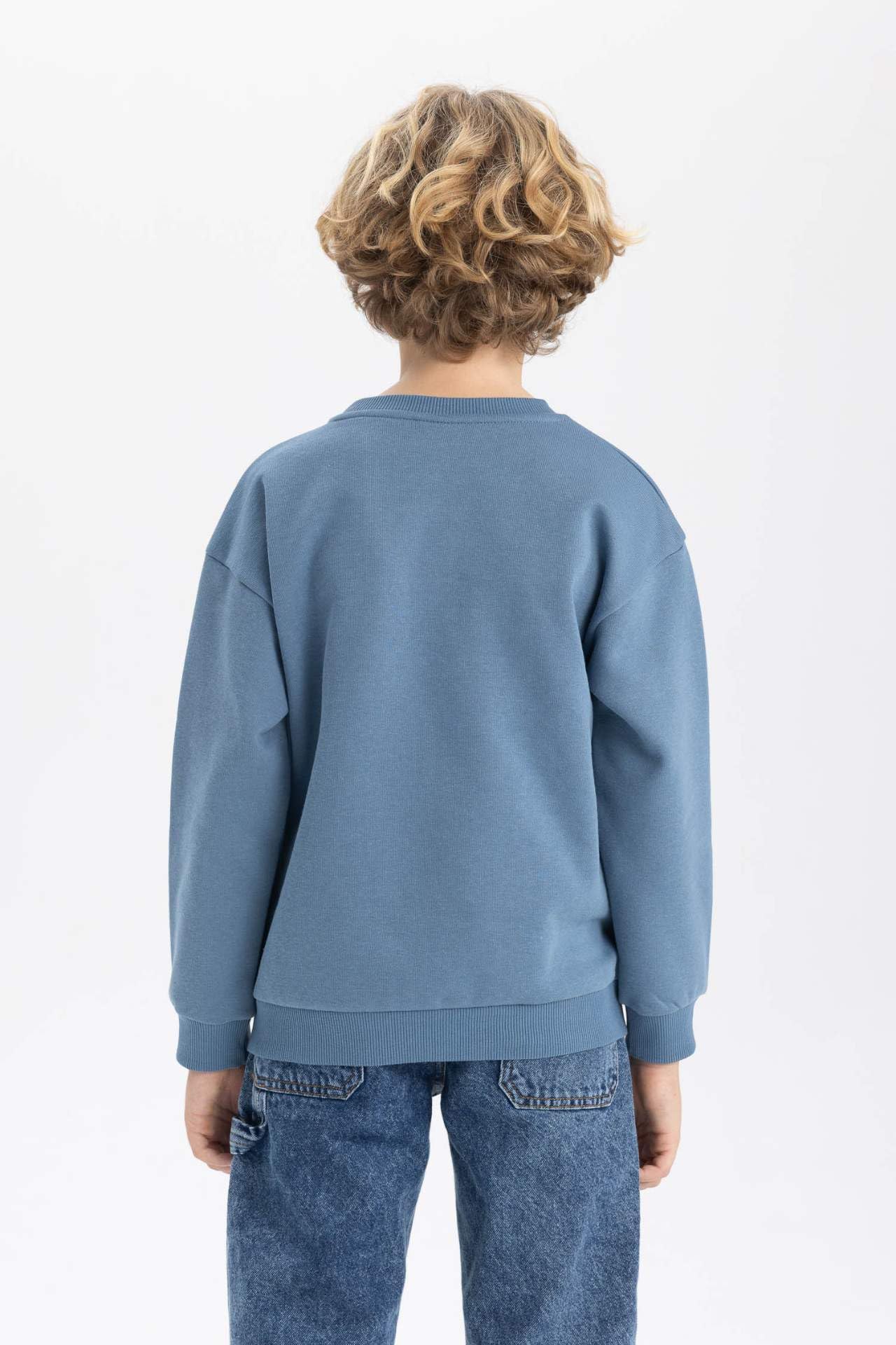 DeFacto Jungen B7822a8 Sweatshirt