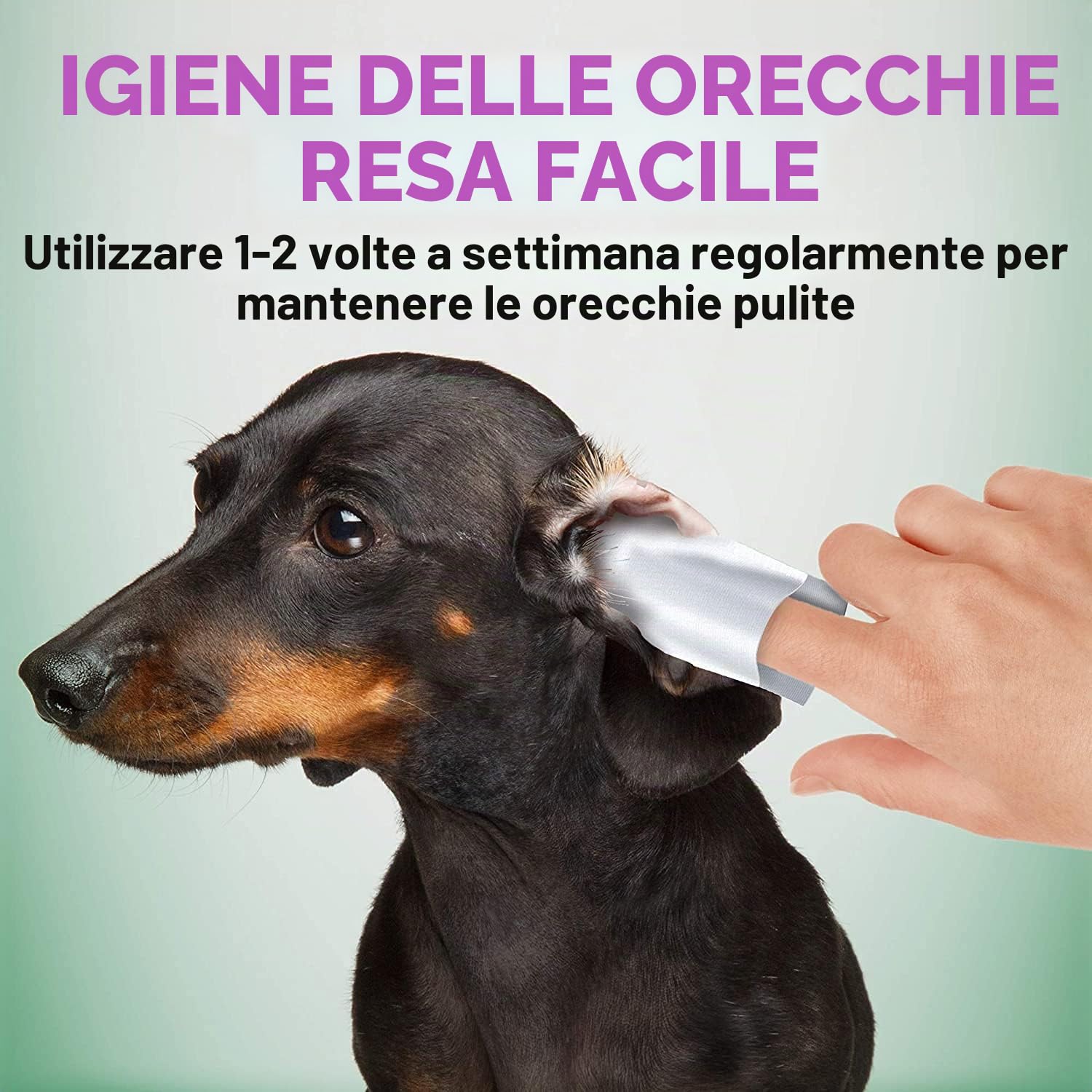 Vet's Best Salviettine Pulizia Orecchie per Cani - 50 Pezzi