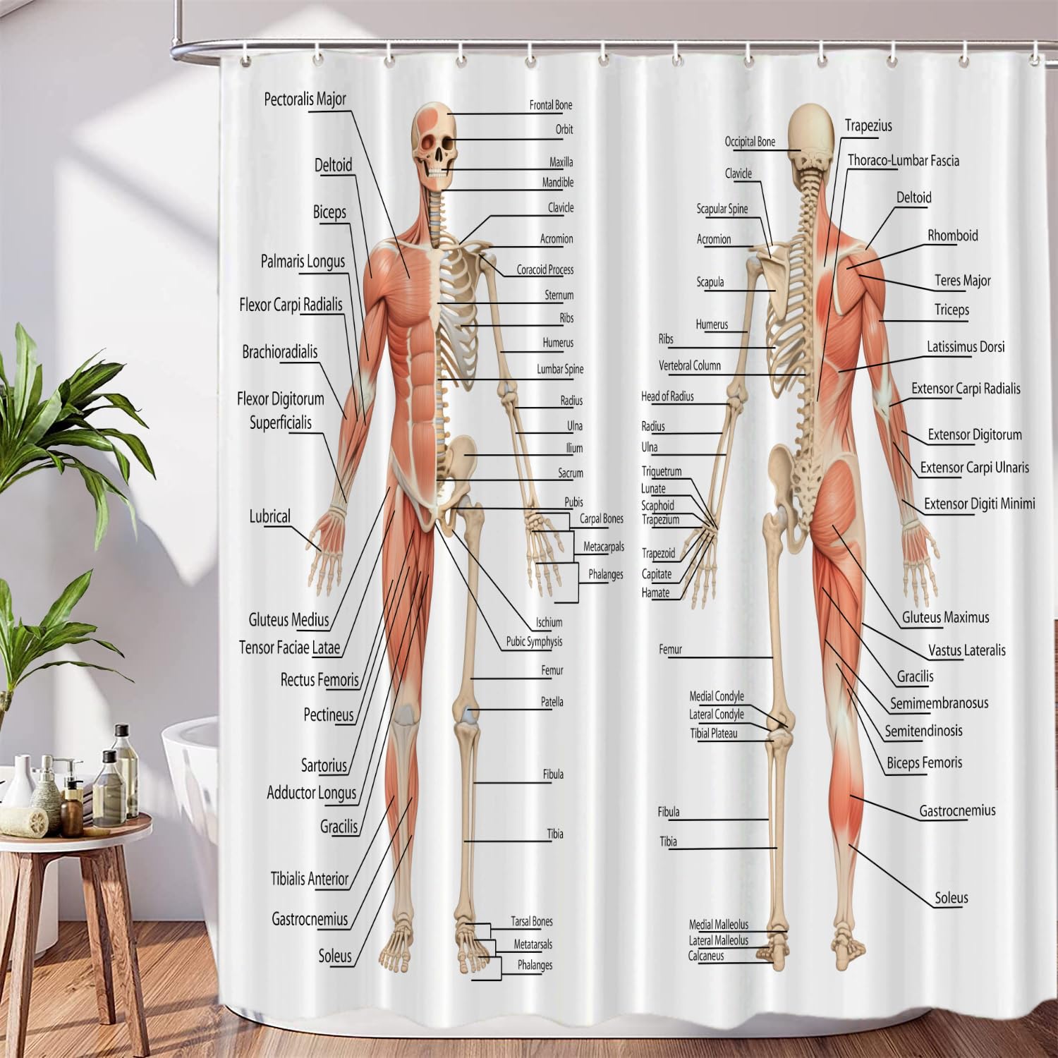 Rideau de douche squelette science moderne pour rafraîchir le style de votre cabine