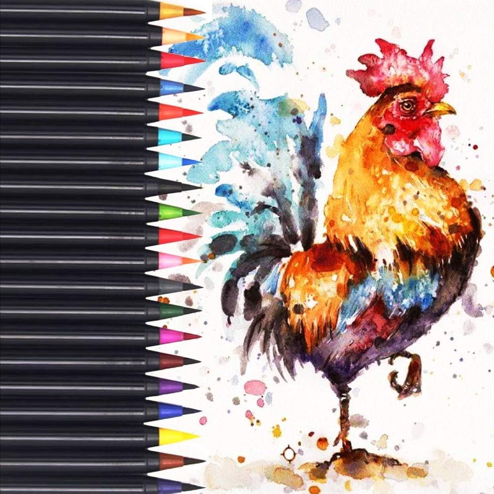 水彩毛筆 カラー筆ペン 水性筆ペン 水彩ペン 絵描き 画筆 塗り絵 アートマーカー 絵用 美術用 学習教材 学校教材 事務用 画材 子供用画材 イラスト 宿題 収納ケース付き 色セット Shorehamlifeboat Co Uk