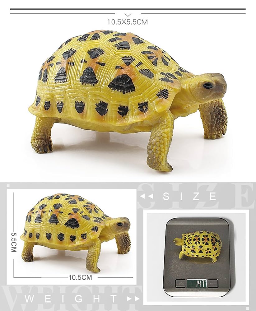 Amazon | EUHELOPA 亀 フィギュア 19種類 海洋動物 おもちゃ