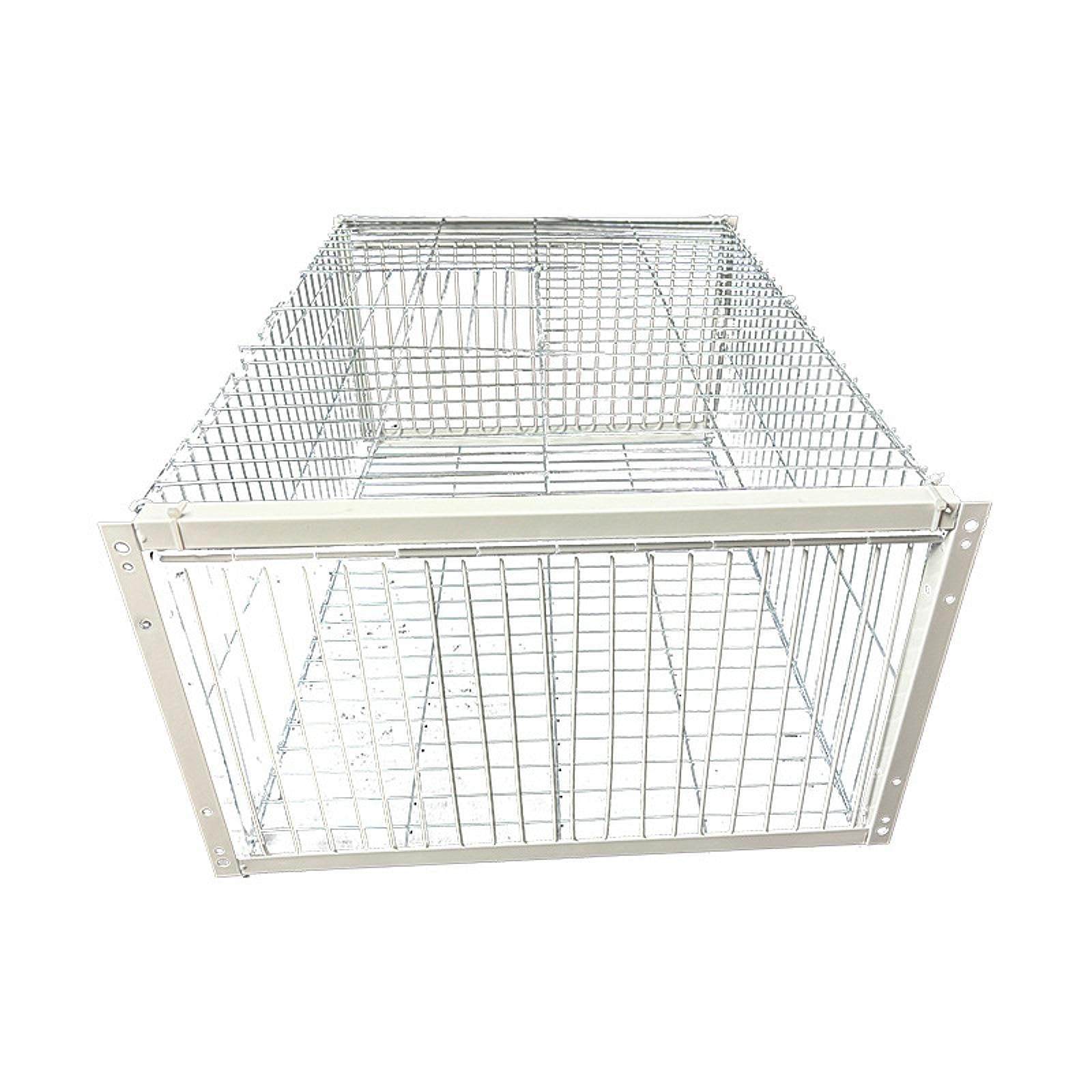 Jaula para Pájaros/Palomas, Caseta Grande, Entrada Sencilla, Estructura de Hierro Reforzado, Función de Controlado, Adecuada para Granjas, 4 Entrada