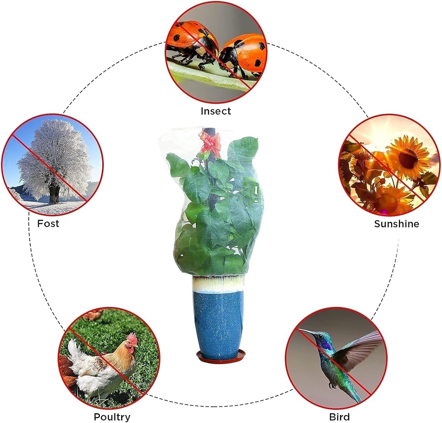 Filet de protection contre les insectes et les oiseaux avec cordon de serrage – Filet anti-insectes pour protéger les fleurs et les légumes contre les insectes et les oiseaux