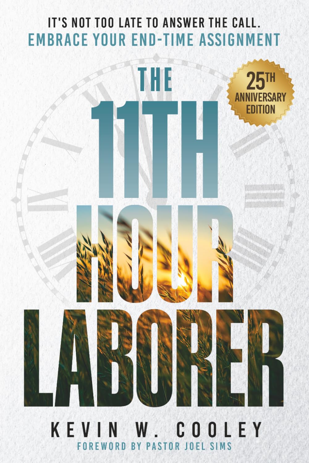 The 11th Hour Laborer: 25th Anniversary Edition