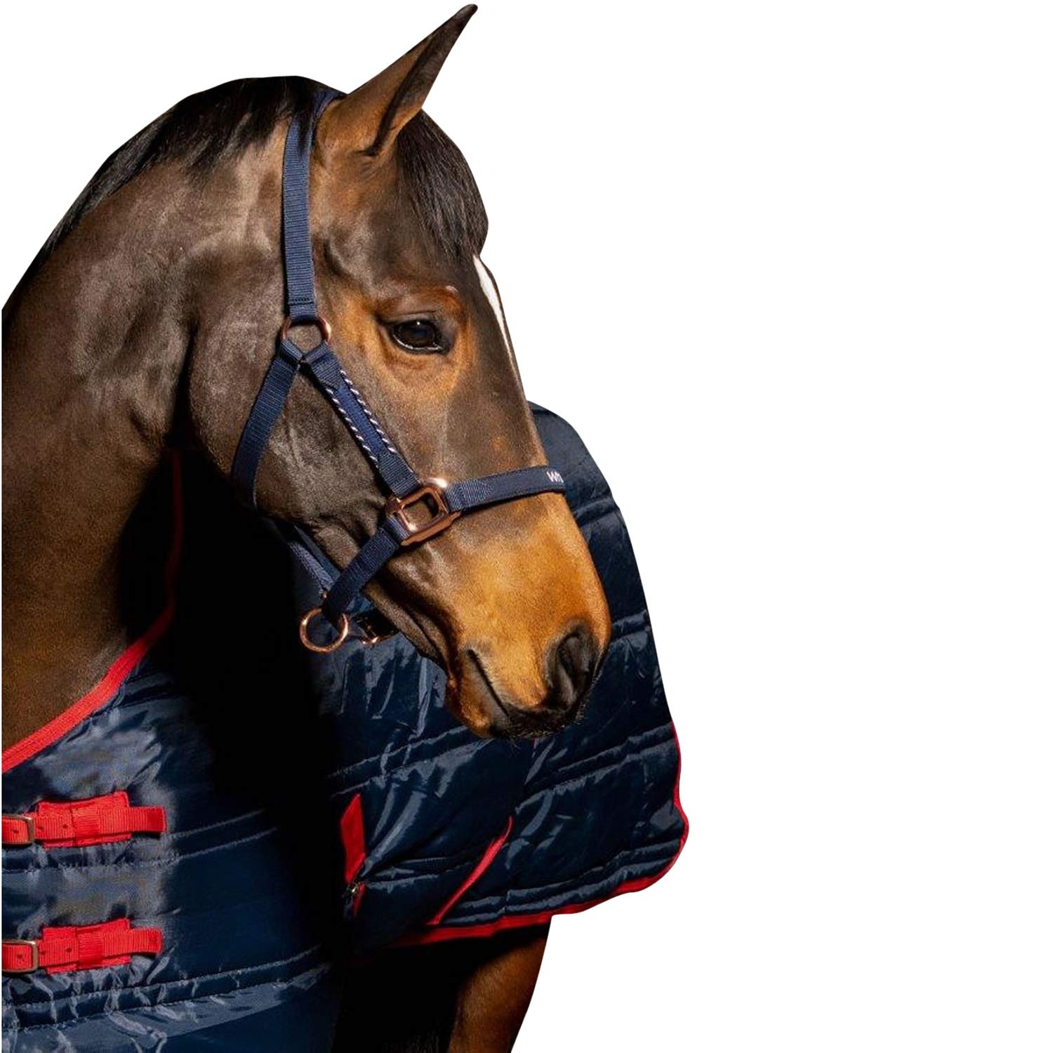 John Whitaker Bradshaw Horse Halter (Cob) (Navy)