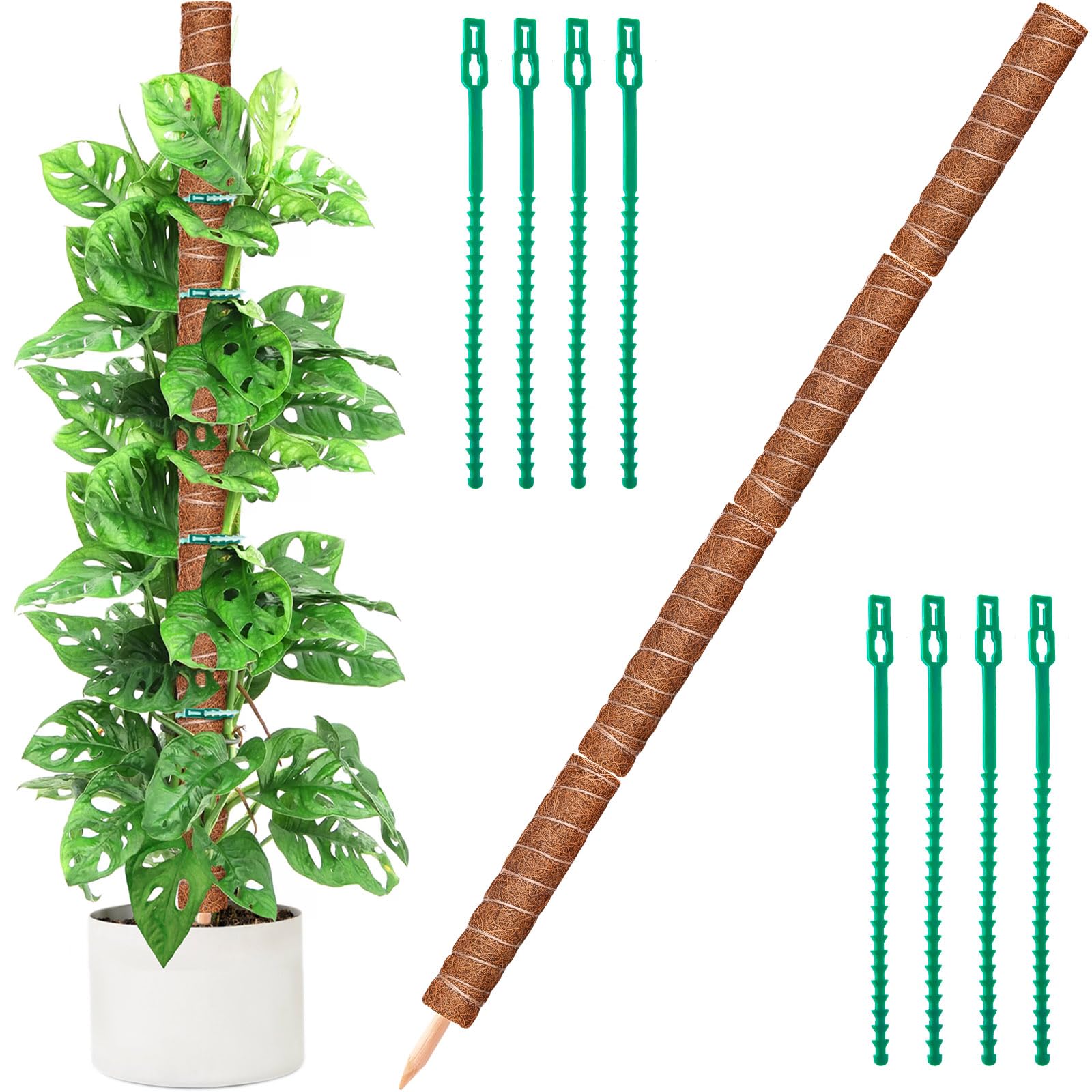 Amazon.com : 64IN Moss Pole, 4 Pack 16IN Moss Coir Totem
