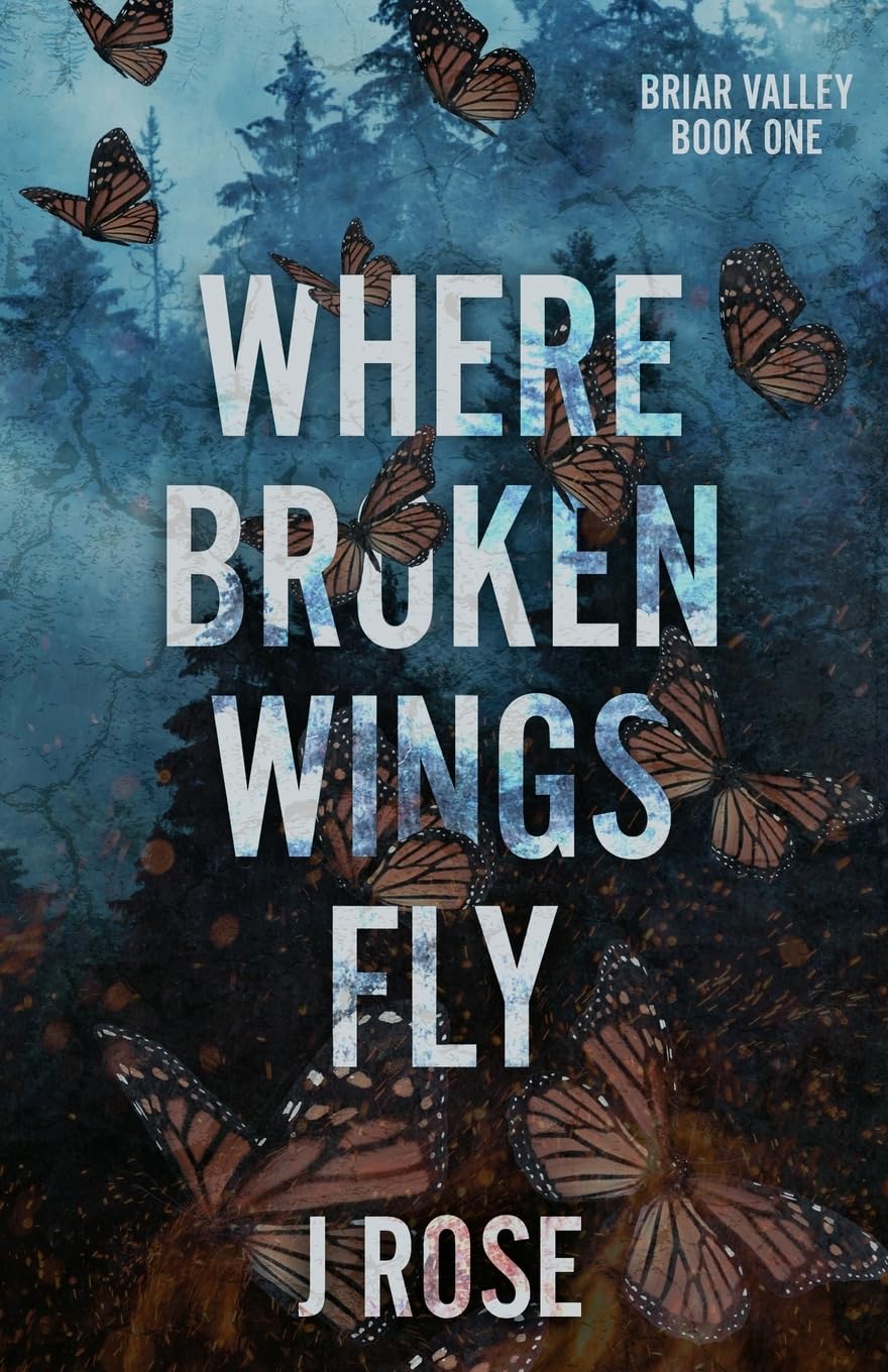 Buy Where Broken Wings Fly — BookShops.in