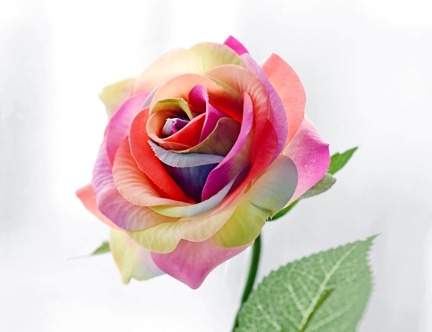 FiveSeasonStuff Real Touch Roses Artificial Flower 15 Stems Silk Roses ‘Petals Feel and Look like Fresh Roses' Bouquet of Flowers Floral Arrangements (#17 Rainbow) - Image 4