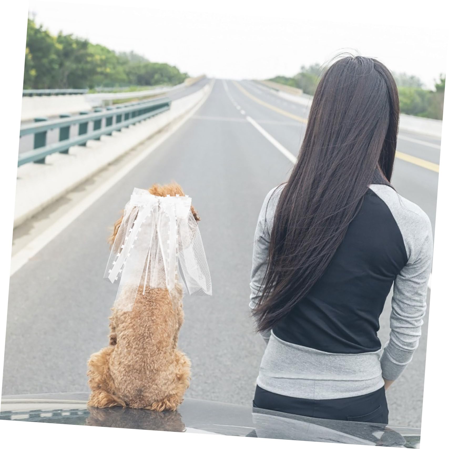 Velo da Sposa per Animali Domestici Fiocco per Gatto Copricapo Accessorio per Cane Matrimonio con Clip