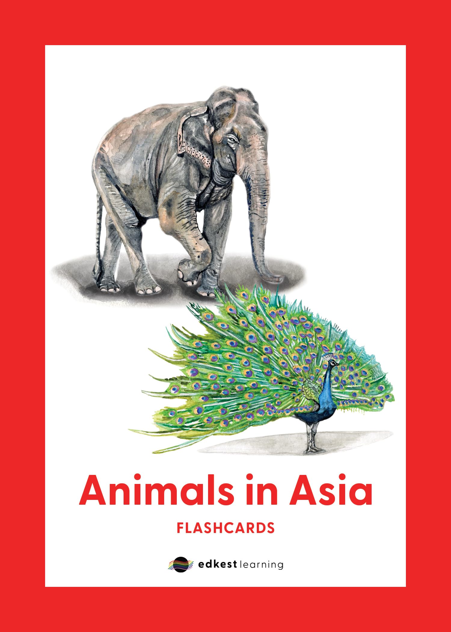 Animals in Asia Flashcards