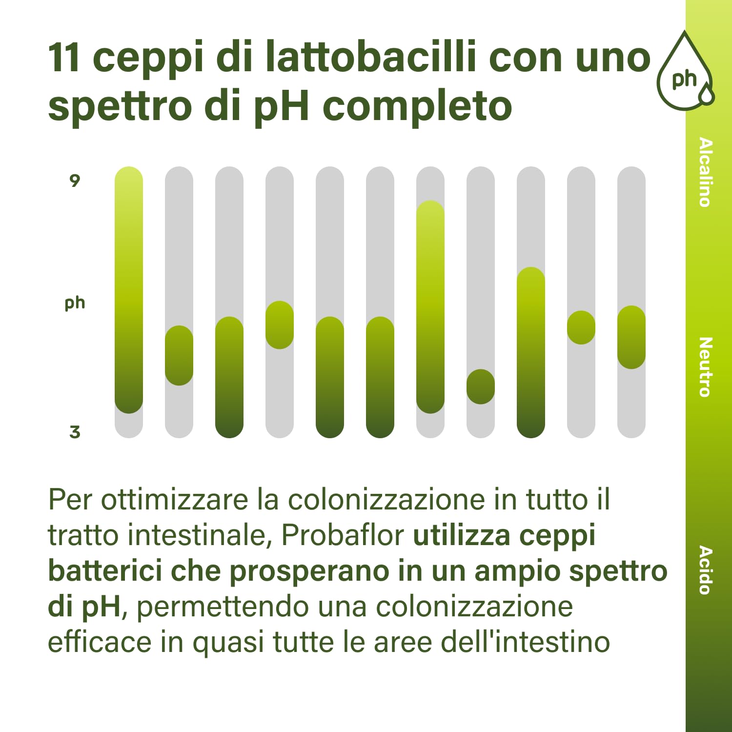 Nupure® Probaflor 110 capsule, con 20 miliardi di CFU, 11 ceppi batterici speciali, Con inulina e Lactobacillus salivarius SP2, Più protetto grazie allo speciale stagno, Vegano