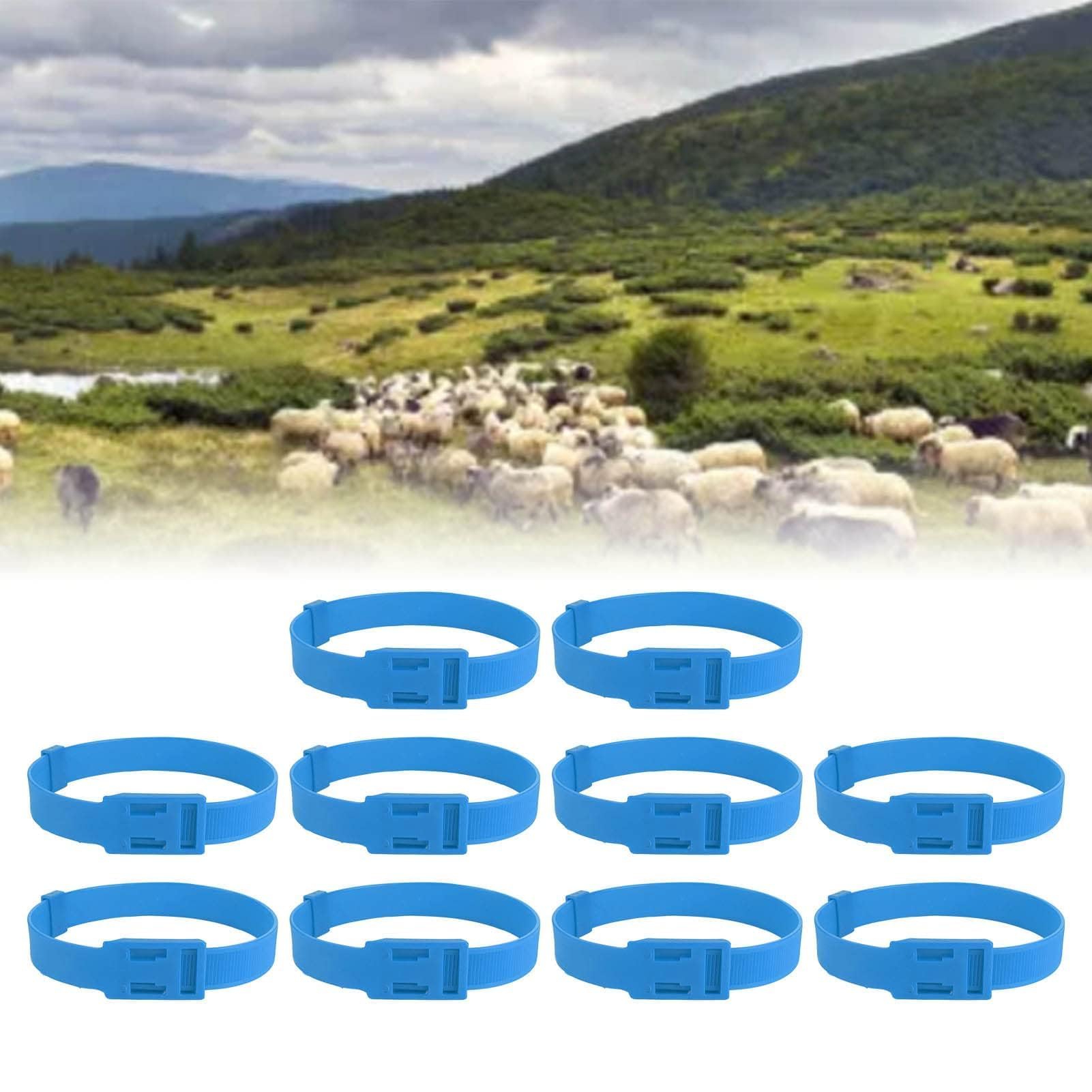 Paquete de 10 Collares Ajustables de PU para Oveja y Cabra, Collar Antipérdida de Bronce Fuerte para Animales de Granja Pequeños, Azul