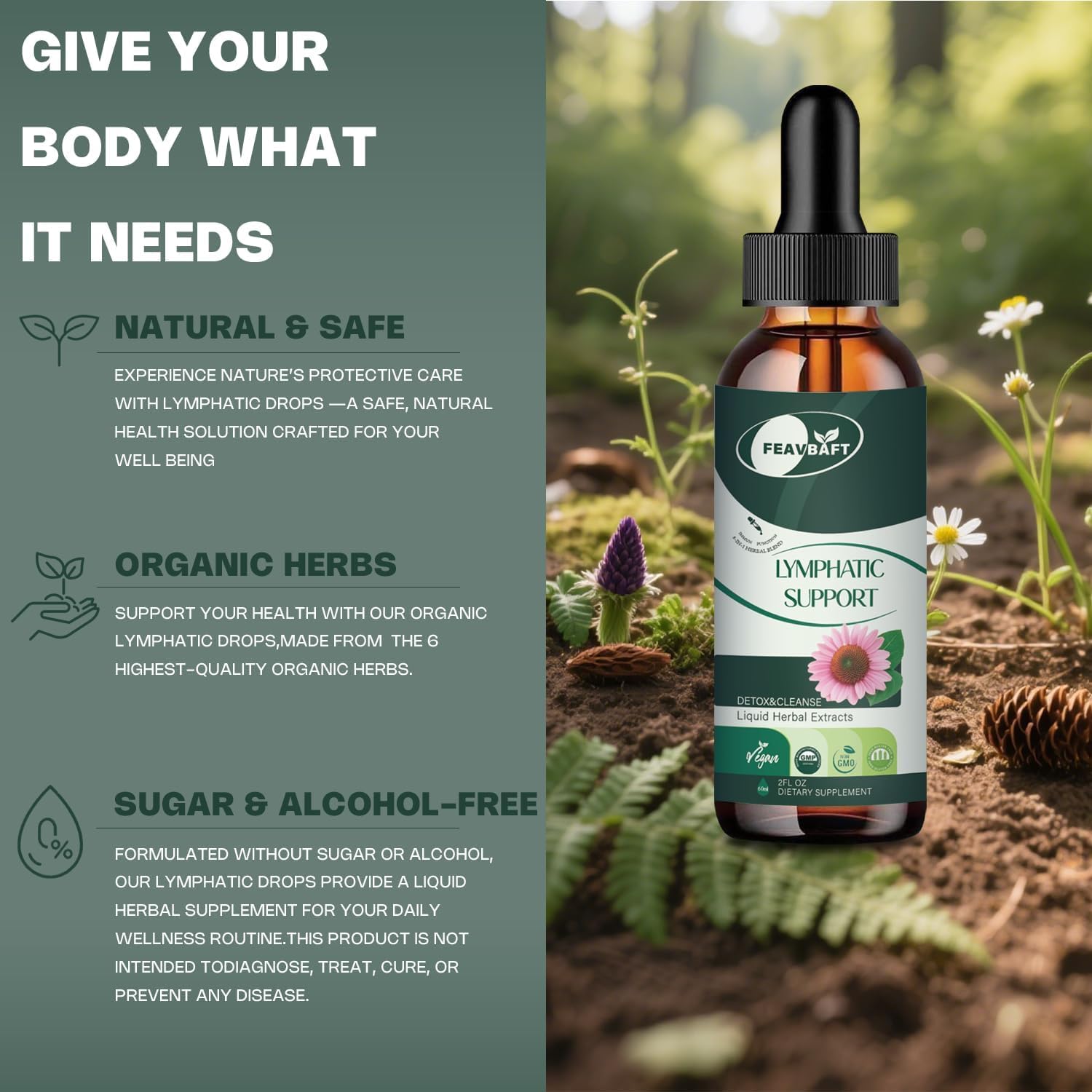 Liposomal Lymphatic Drainage Drops - Lymph Detox Cleanse & Immune Support with-Echinacea, Dandelion, Burdock-Supports Lymphatic Health 2 FL.OZ - Image 2