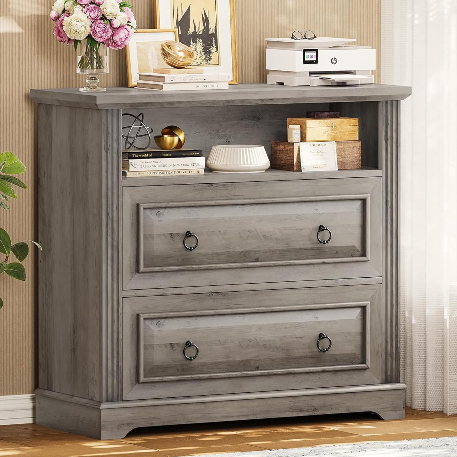Itaar 2 Drawer File Cabinet with Printer Stand