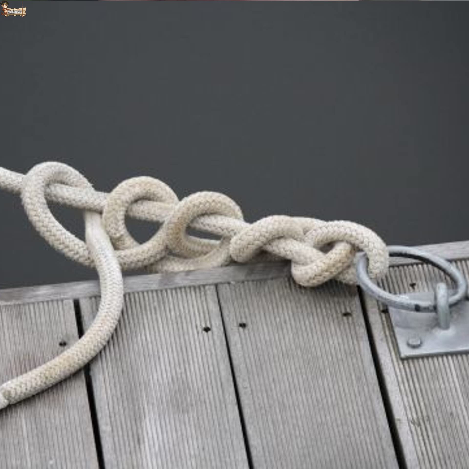 BricoLoco.com Cuerda driza Nylon Trenzada. SOGA Fibra sintética de Nylon. Cabo Amarre, Agricultura, ganadería, construcción, decoración, Crossfit. Alta Resistencia. (50, Ø 8 mm.)