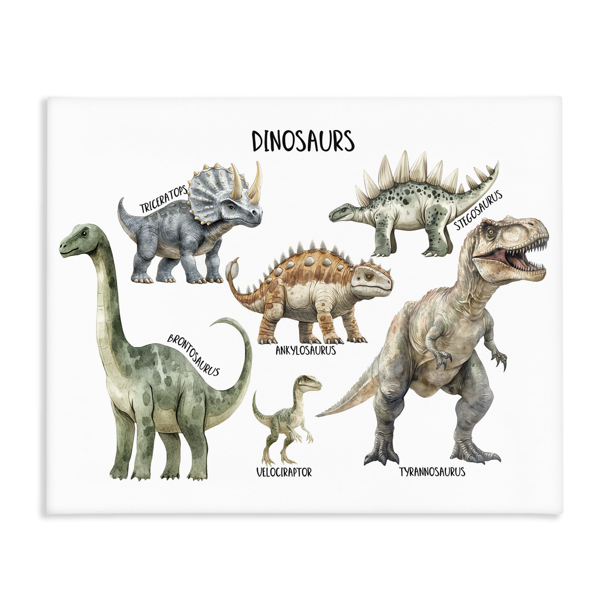 Stupell Industries Unframed 'Meet The Dinosaurs'| Canvas Art