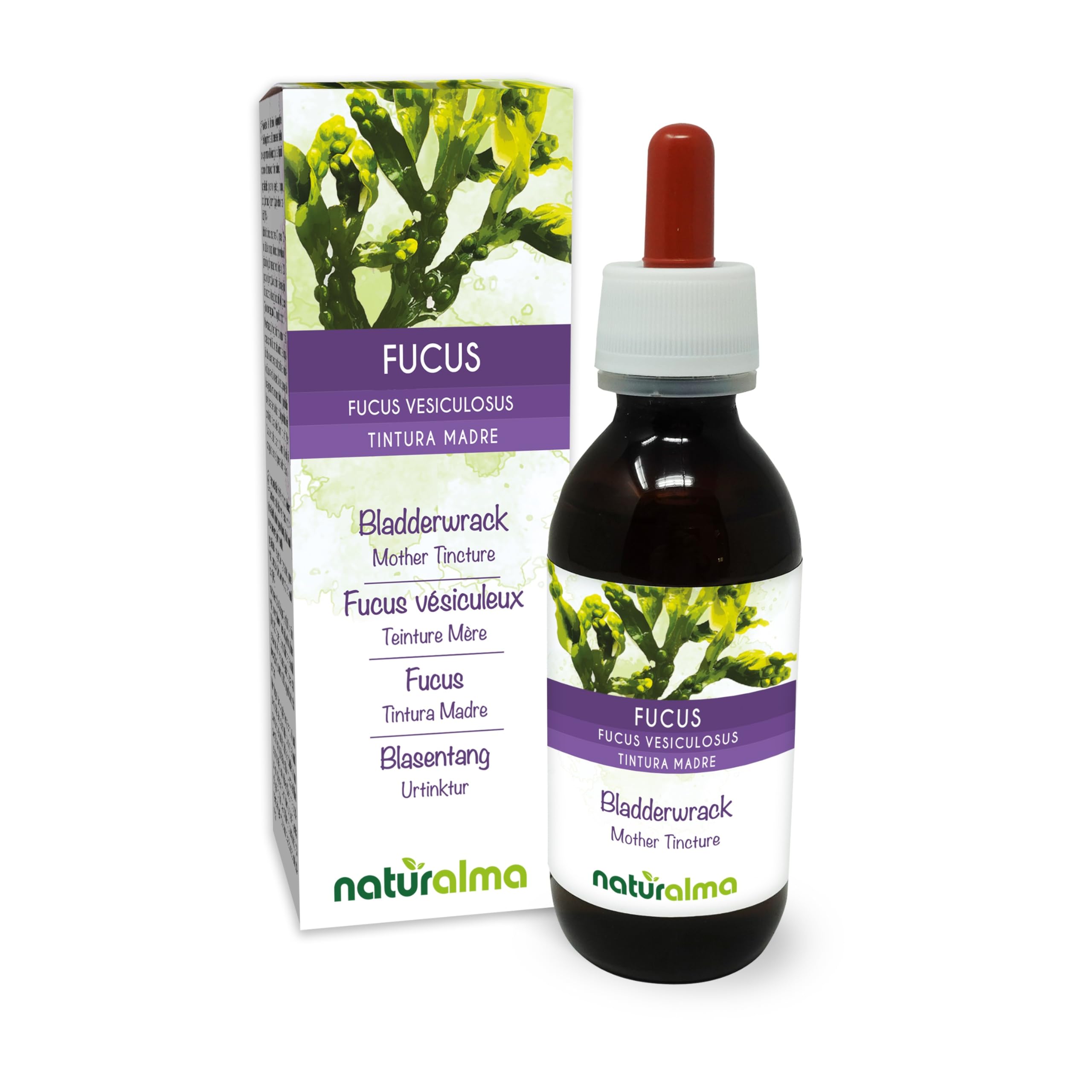 Fucus o sargazo vejigoso (Fucus vesiculosus) talo (alga) Tintura Madre sin alcohol Naturalma - Extracto líquido gotas 120 ml - Complemento alimenticio - Vegano