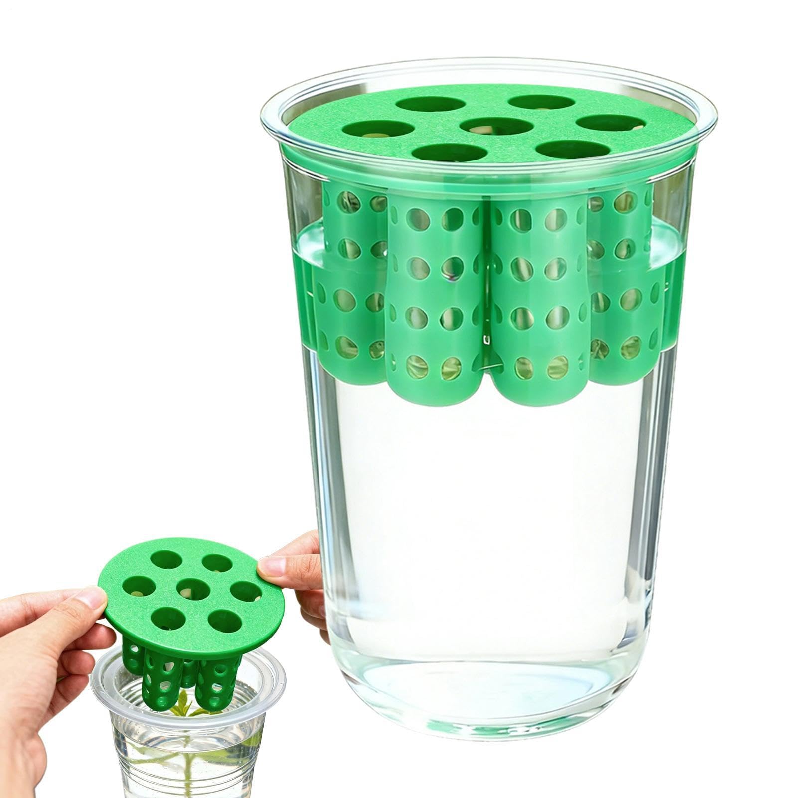 Small Green Onion Planter, Clear Reusable Hydroponic Propagation Station, Scallion Seedling Regrower Box, for Windowsill Garden Home Indoor Kitchen Corner