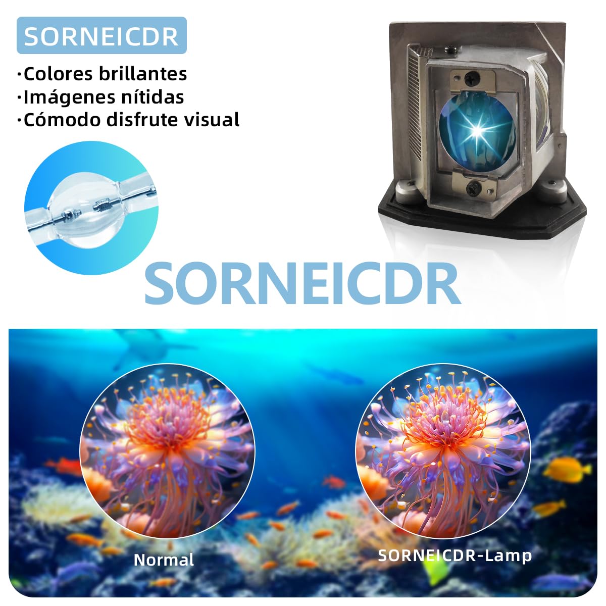 BL-FP230D Lampada proiettore di ricambio con alloggiamento per OPTOMA DH1010 EH1020 EW615 EX612 EX615 HD180 HD20 HD200X HD200X-LV HD20-LV Videoproiettore