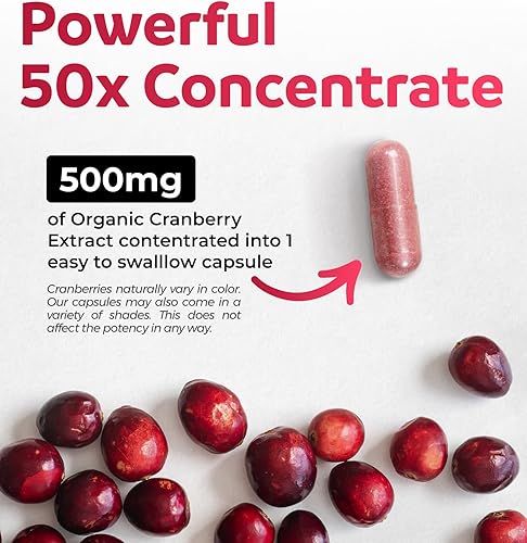 Miniatura 2 de Píldoras orgánicas de arándano – Concentrado 50:1 equivale a 25,000 mg de arándanos frescos (veganos) para la salud del tracto urinario