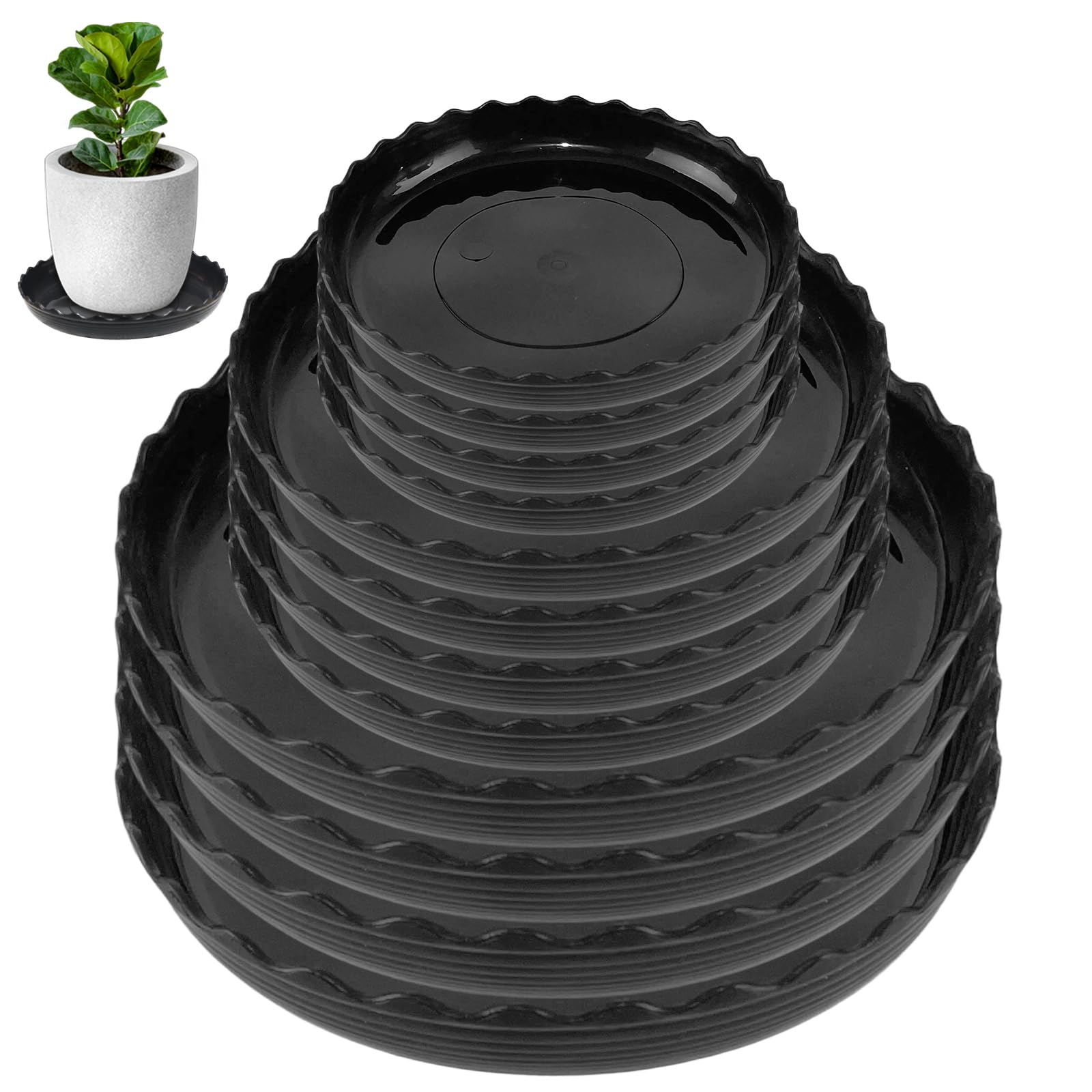 YUANAIYI Wave Plant Saucer 12-Pack