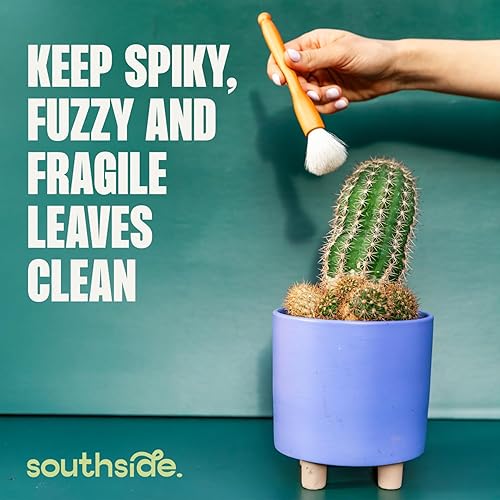 Miniatura 6 de Southside - Cepillos de limpieza para plantas suculentas y cactus, asas de madera con cerdas suaves de pelo de cabra, herramientas de limpieza de