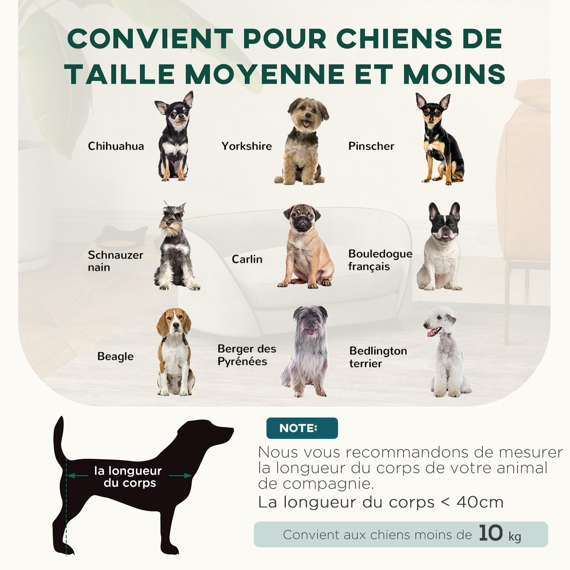 PawHut Canapé pour Chien, canapé pour Chat, Coussin Doux, Housse Amovible et Lavable, revêtement en Velours néerlandais, pour Chiens de Petite à Moyenne Taille, Gris