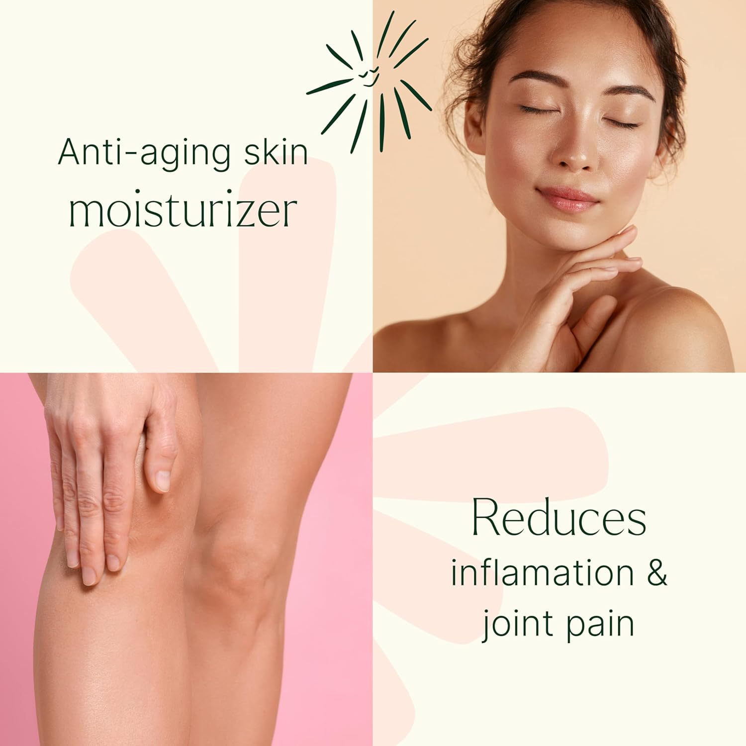 Plant Therapy Organic Castor Oil Roll On 30 mL (1 oz) Convenient Mess-Free Body Oil Roll-on for Easy Application, Cold-Pressed & Hexane-Free, Third-Party Tested for Purity - Image 6